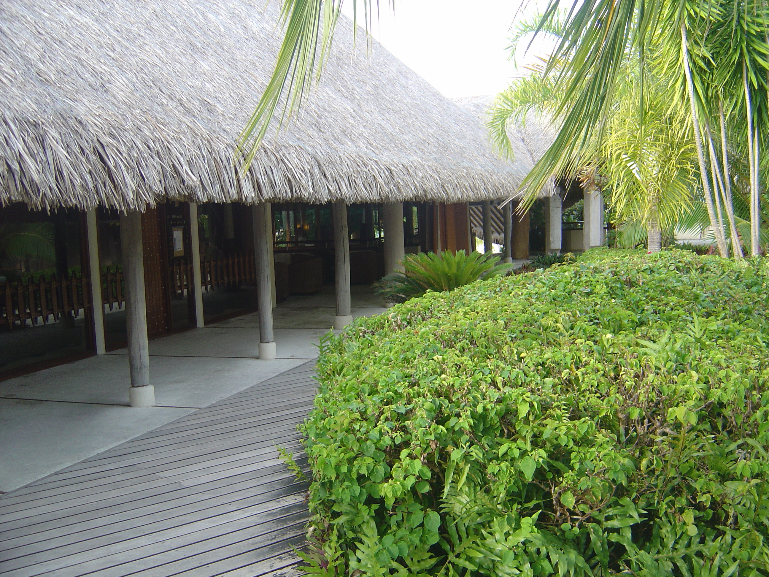 Picture Polynesia Meridien Bora Bora Hotel 2006-04 71 - Discovery Meridien Bora Bora Hotel