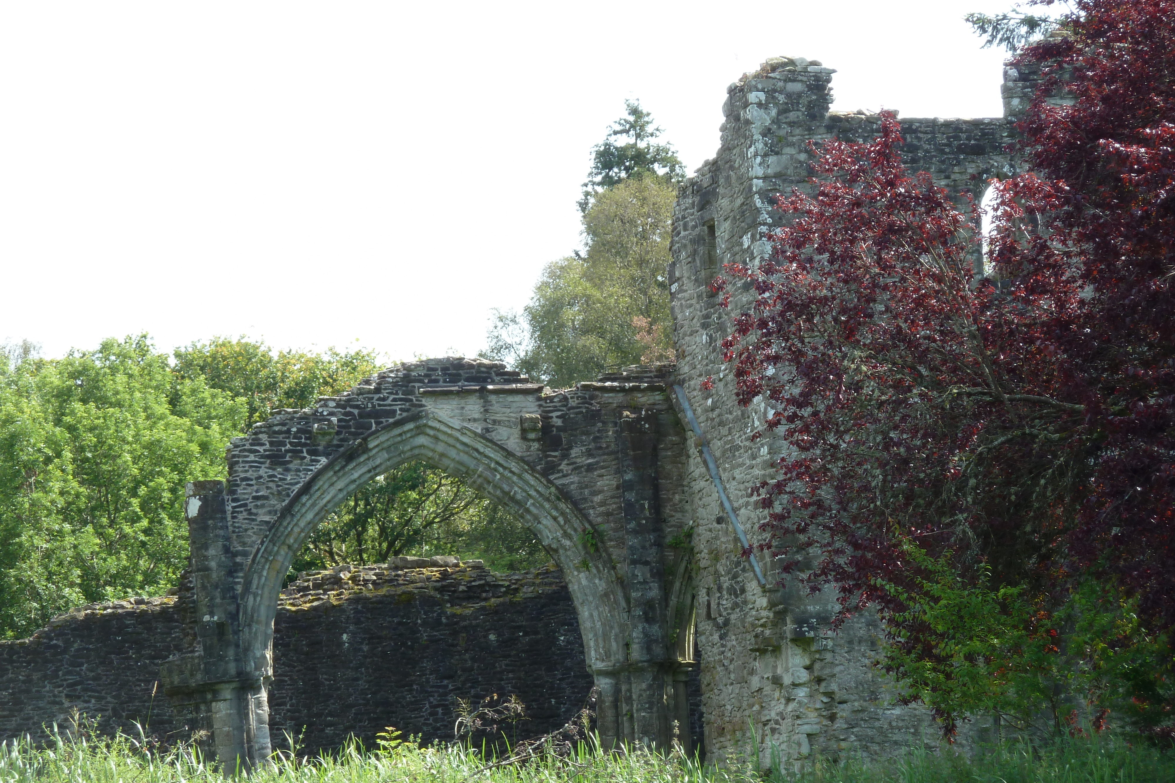 Picture United Kingdom Scotland Inchmahome Priory 2011-07 12 - History Inchmahome Priory