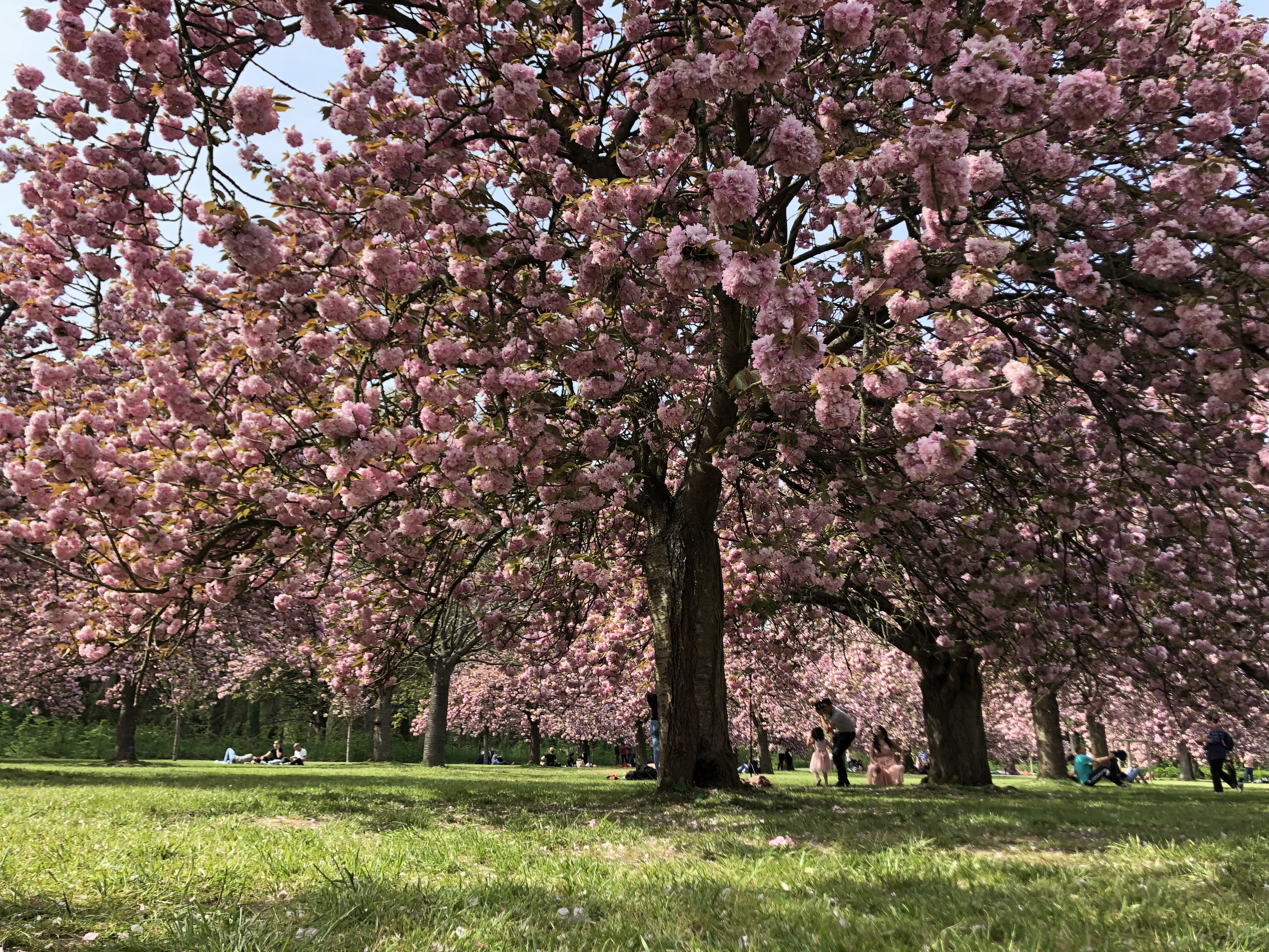 Picture France Parc de Sceaux 2019-04 47 - History Parc de Sceaux