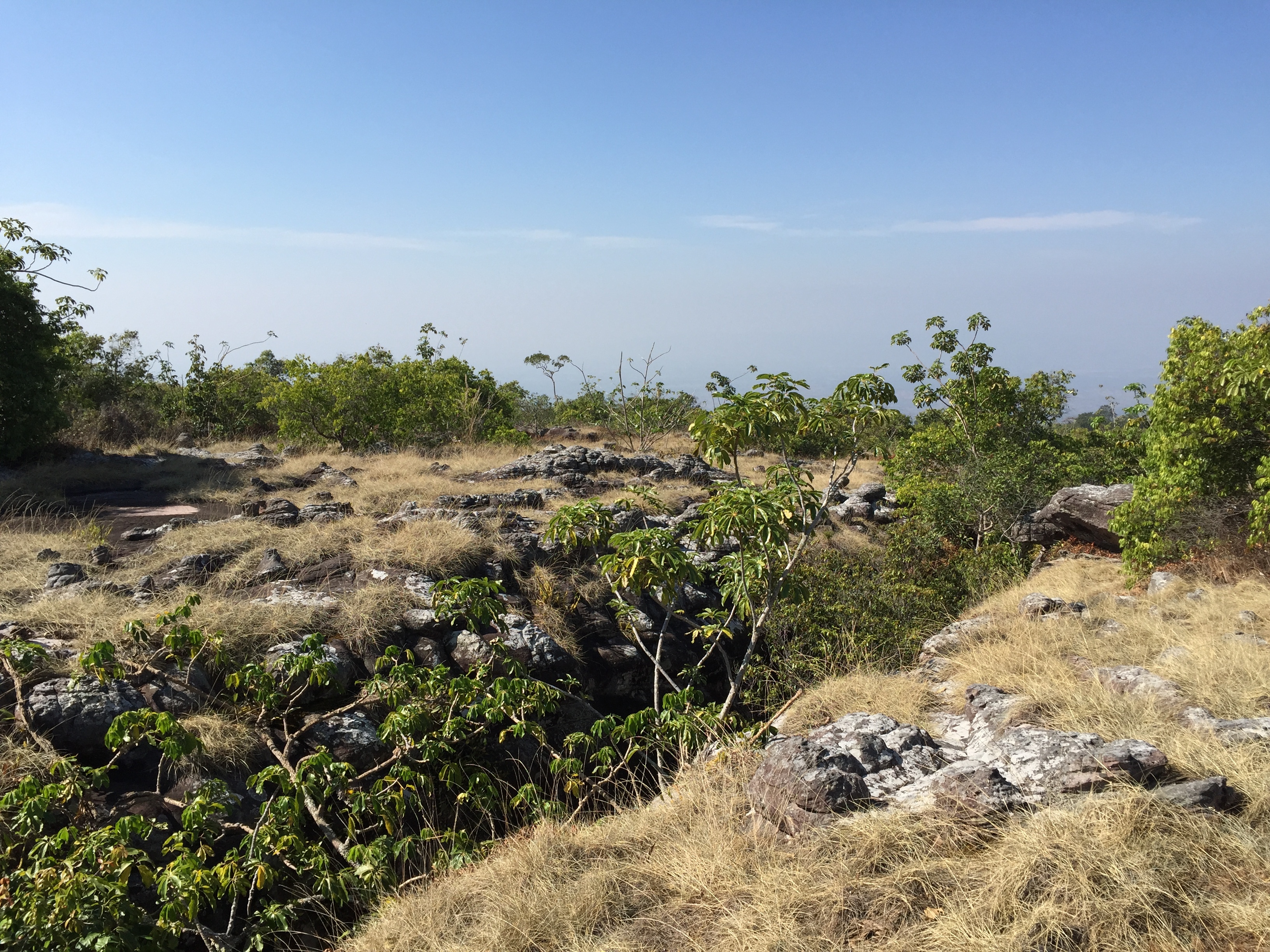 Picture Thailand Phu Hin Rong Kla National Park 2014-12 73 - Journey Phu Hin Rong Kla National Park