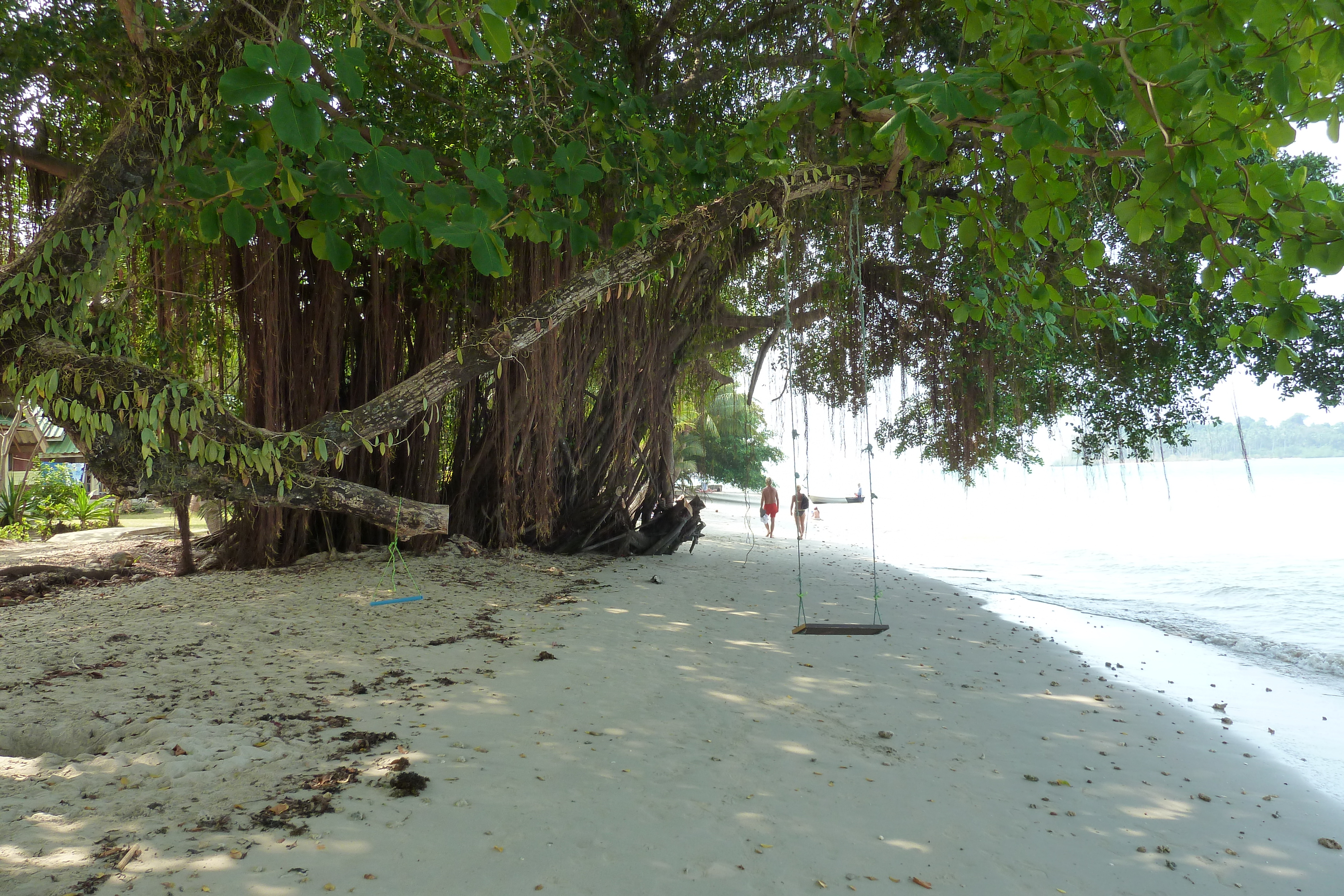 Picture Thailand Ko Chang Klong Prao beach 2011-02 58 - Center Klong Prao beach