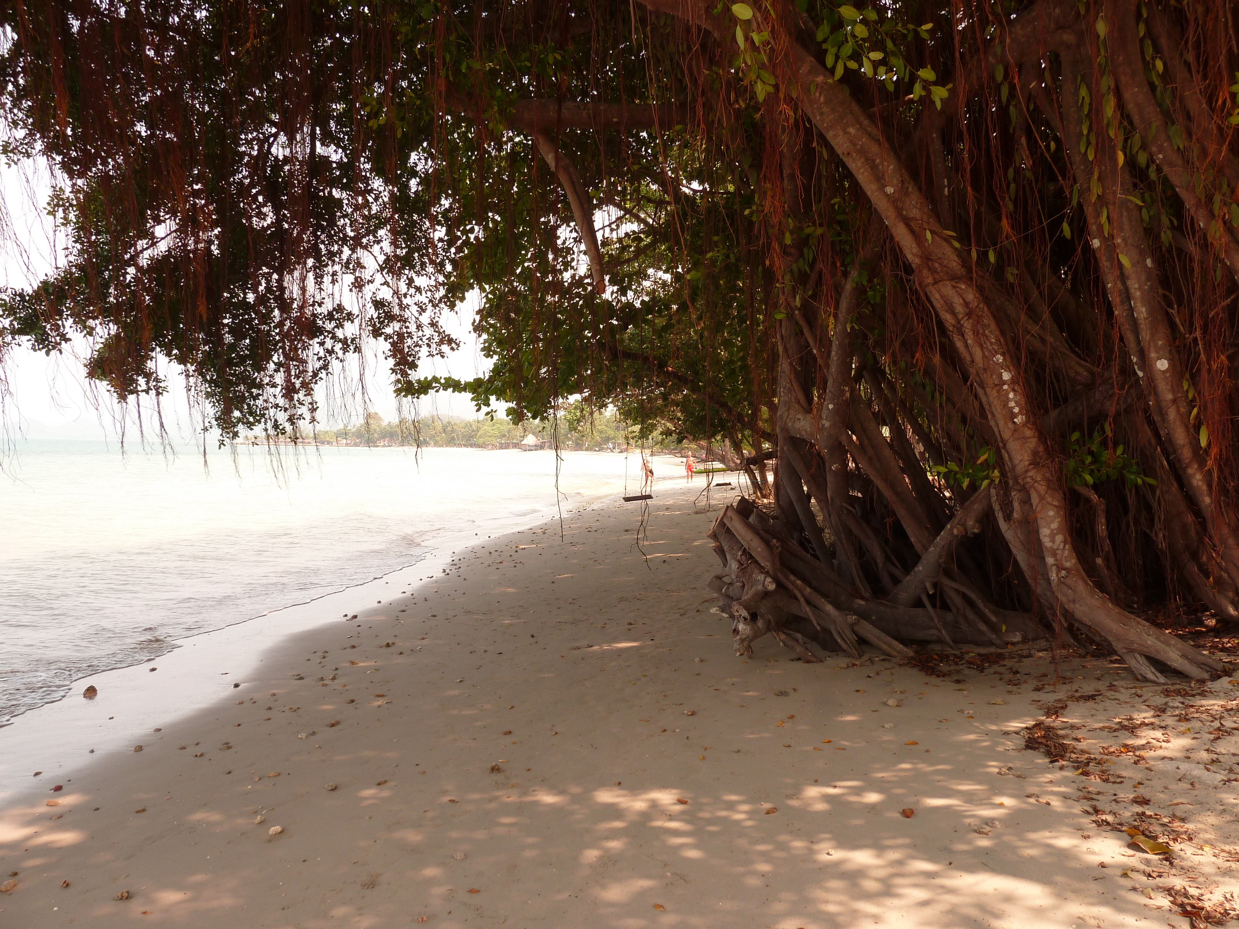 Picture Thailand Ko Chang Klong Prao beach 2011-02 102 - Center Klong Prao beach