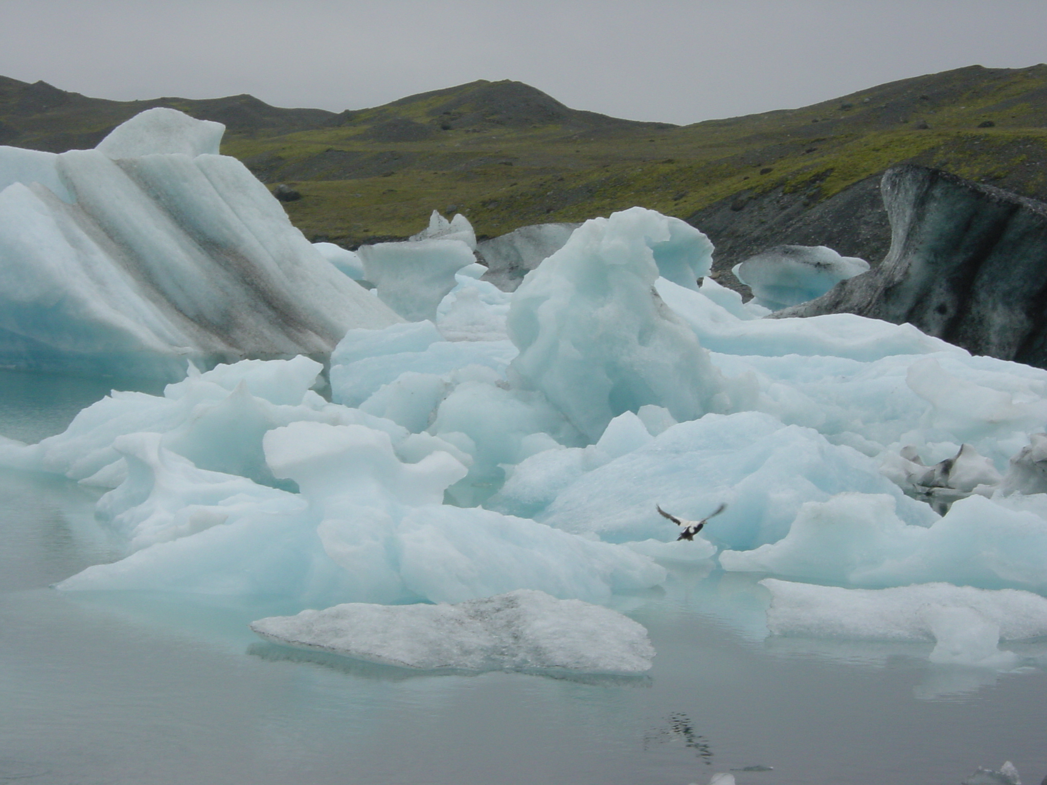 Picture Iceland Jokulsarlon 2003-06 29 - Journey Jokulsarlon