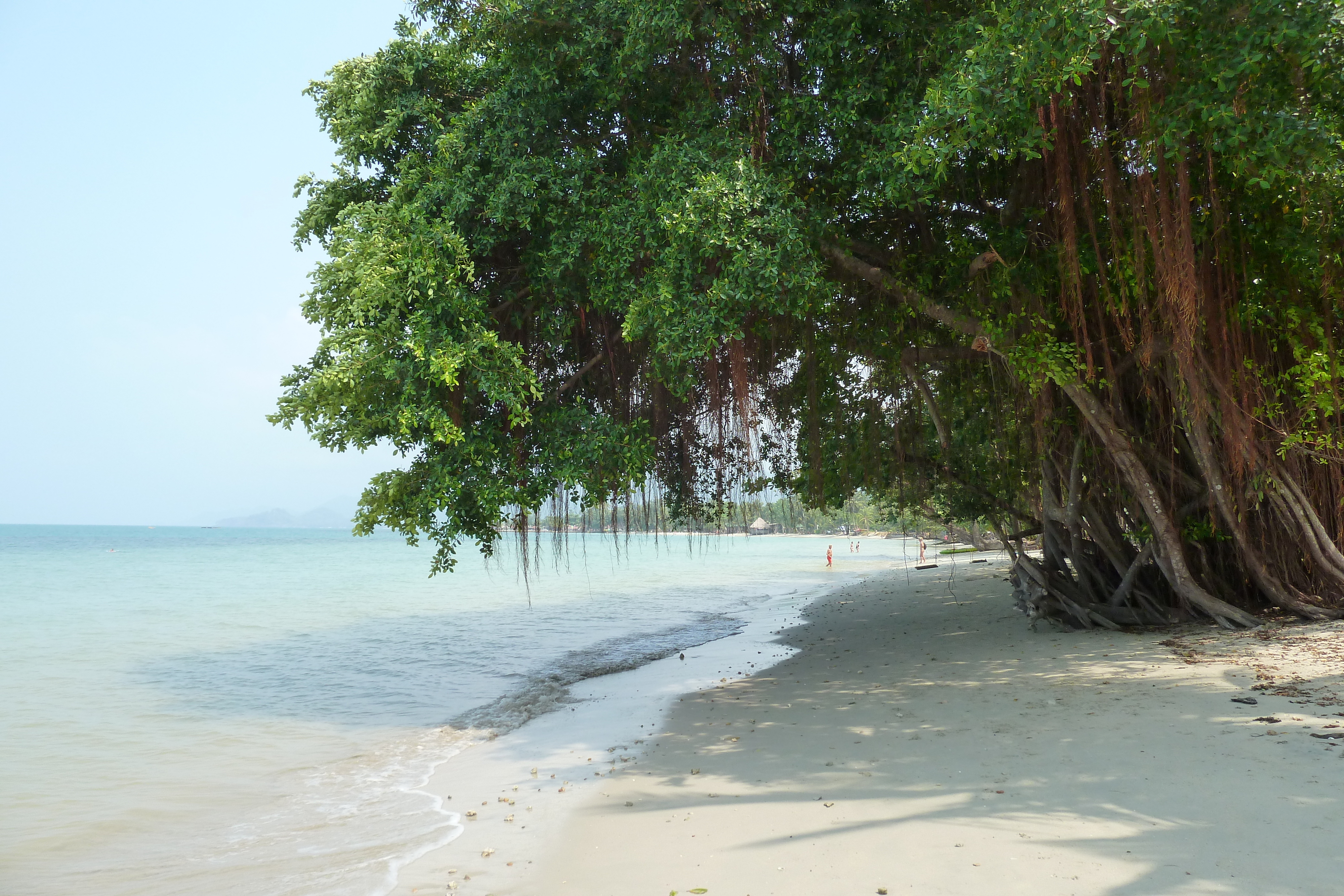 Picture Thailand Ko Chang Klong Prao beach 2011-02 89 - Center Klong Prao beach