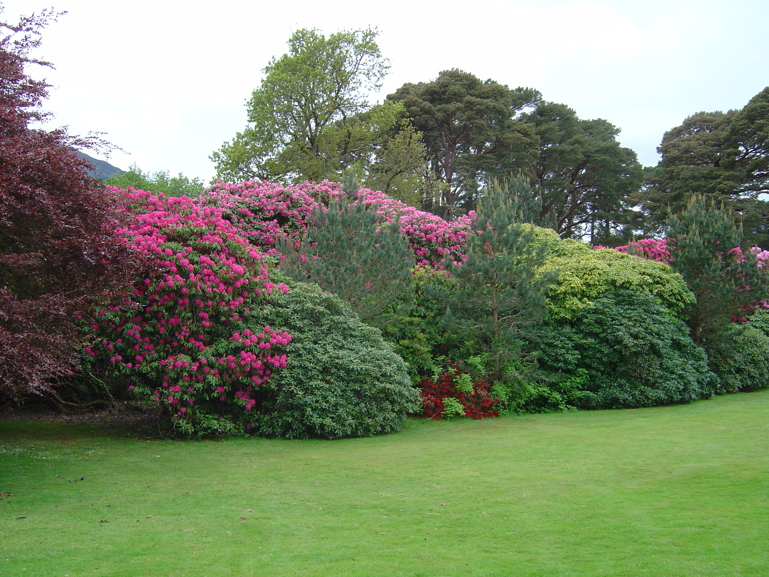 Picture Ireland Kerry Killarney National Park Muckross House 2004-05 9 - Journey Muckross House