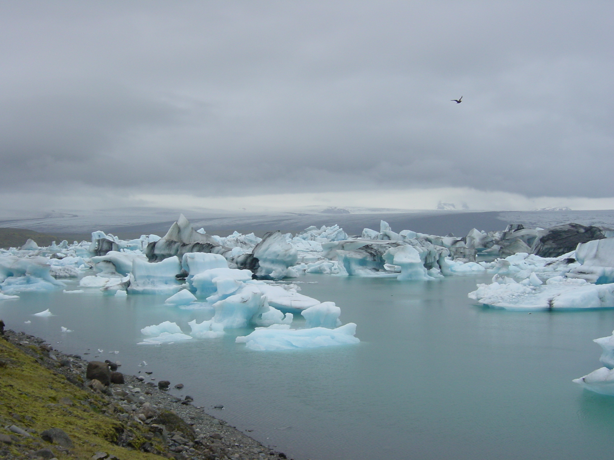 Picture Iceland Jokulsarlon 2003-06 42 - Center Jokulsarlon