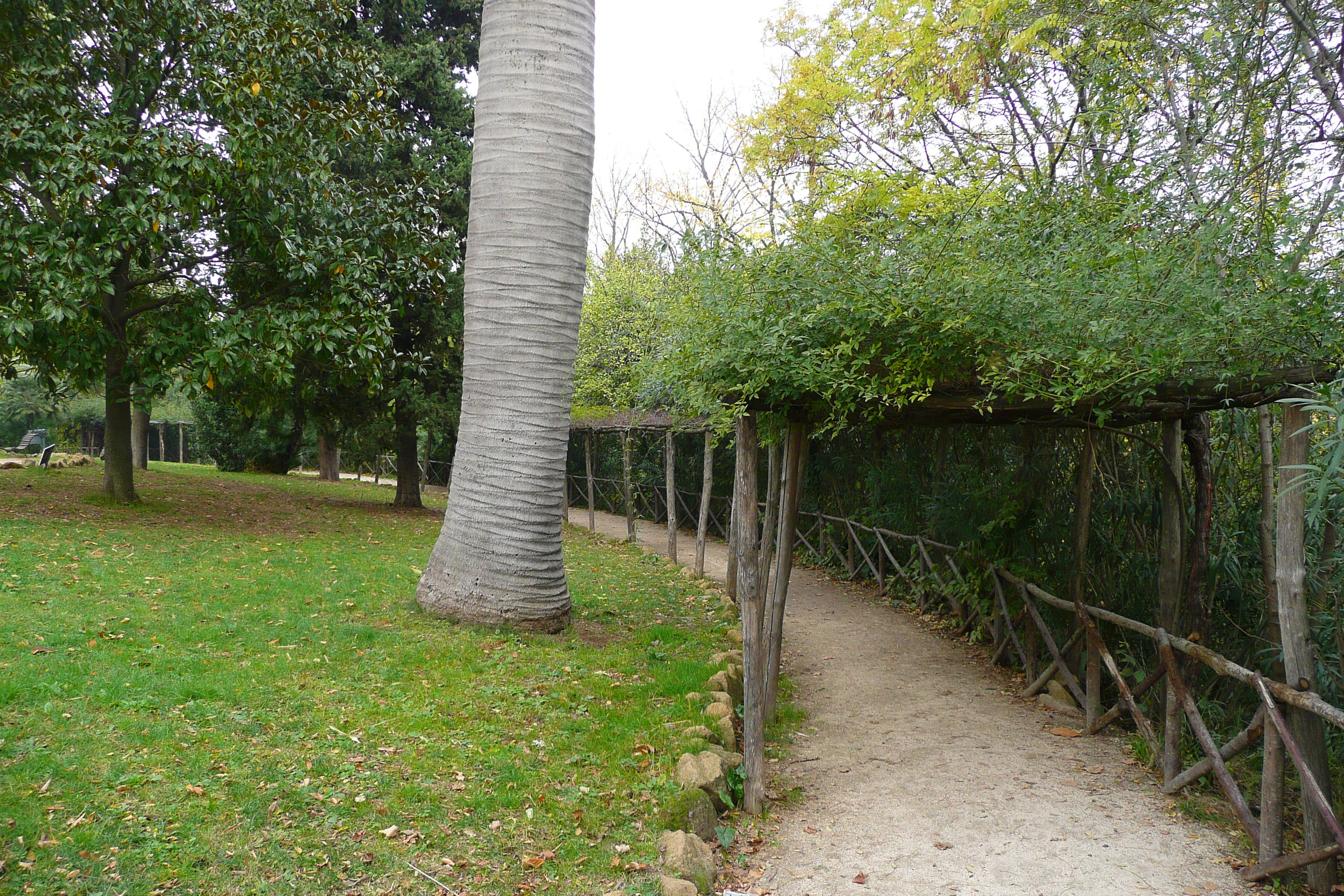 Picture Italy Rome Villa Sciarra 2007-11 41 - Tours Villa Sciarra