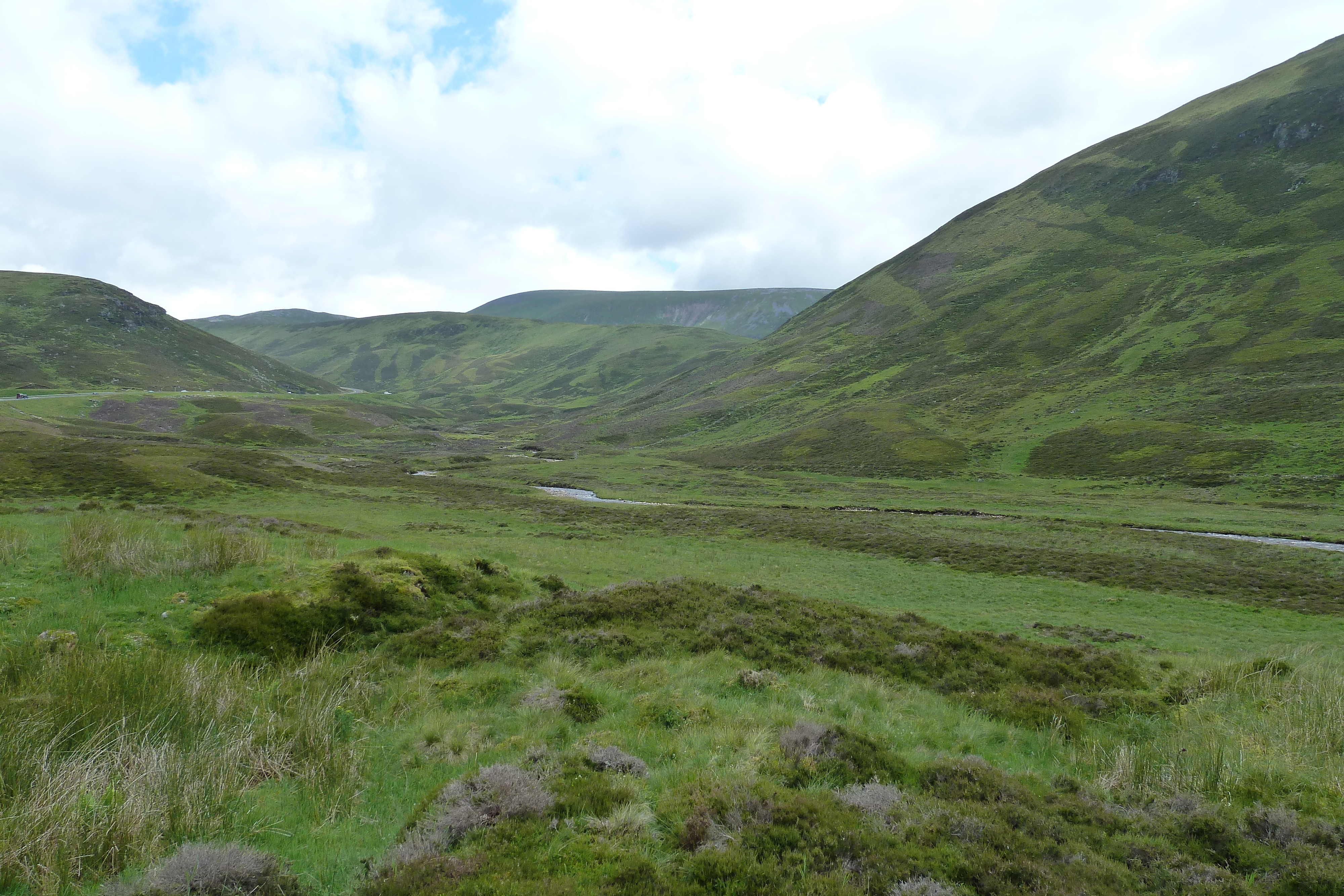 Picture United Kingdom Cairngorms National Park 2011-07 63 - Discovery Cairngorms National Park