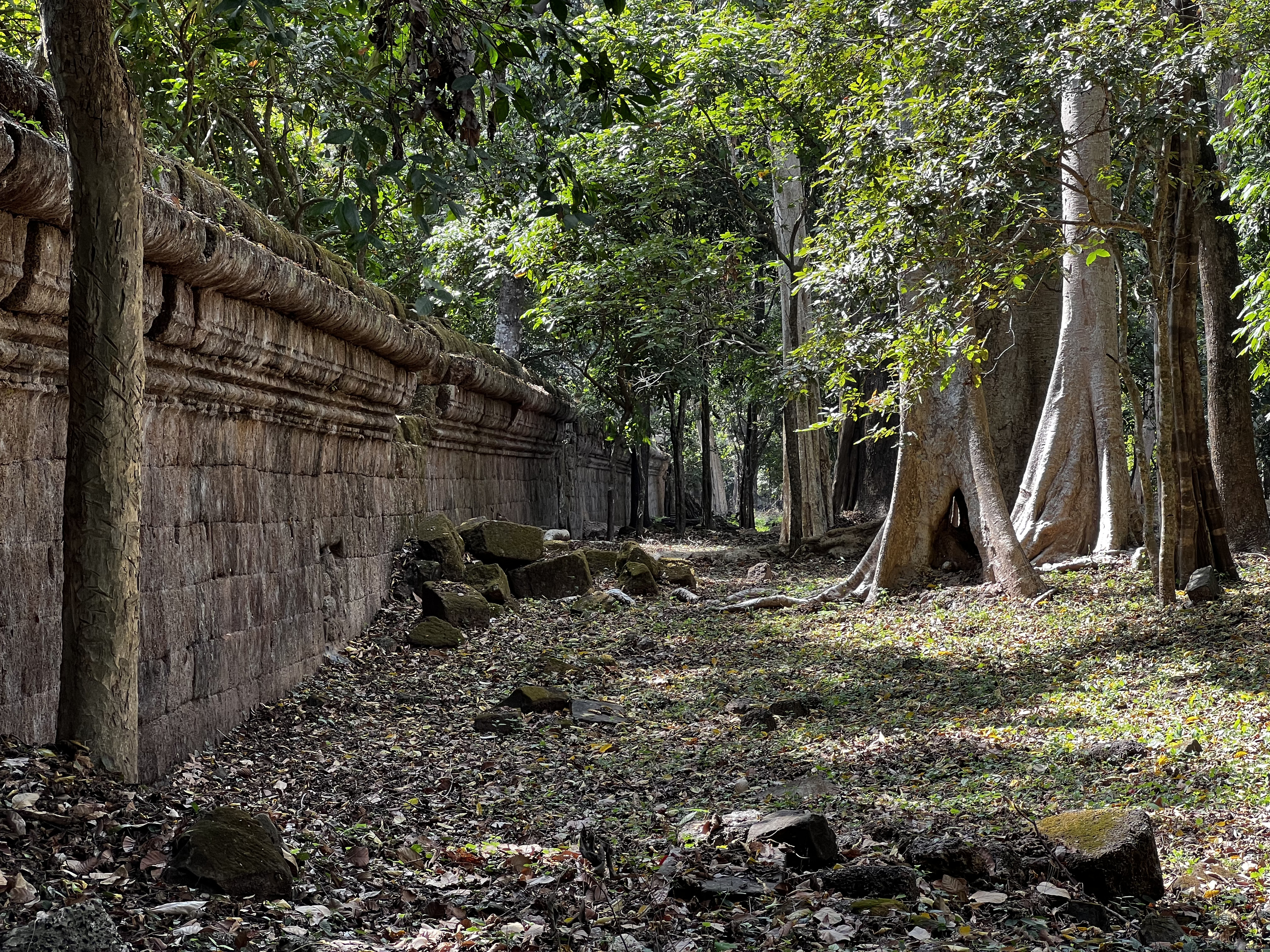 Picture Cambodia Siem Reap Angkor Thom 2023-01 27 - Tours Angkor Thom