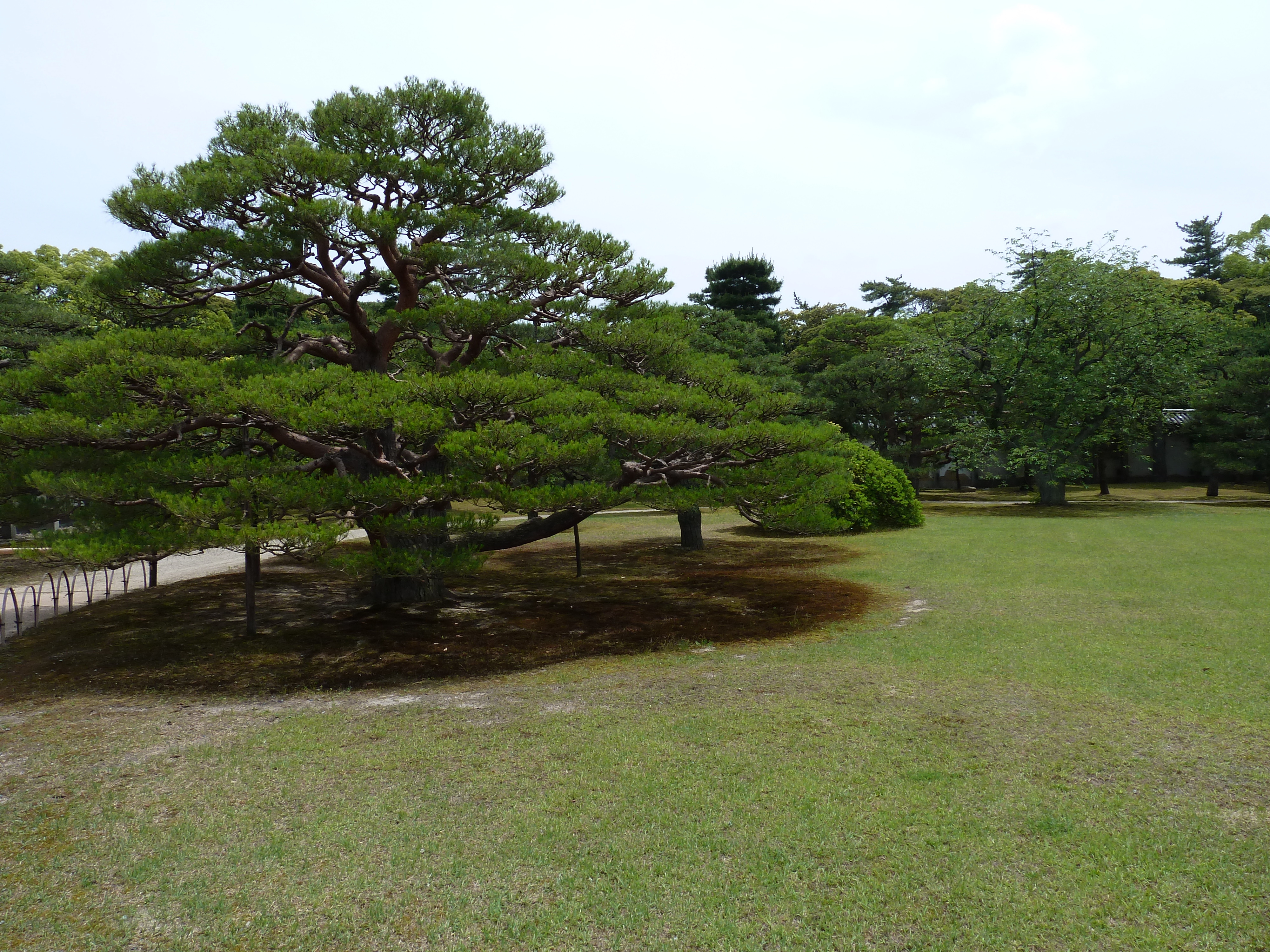 Picture Japan Kyoto Nijo Castle 2010-06 64 - Tour Nijo Castle