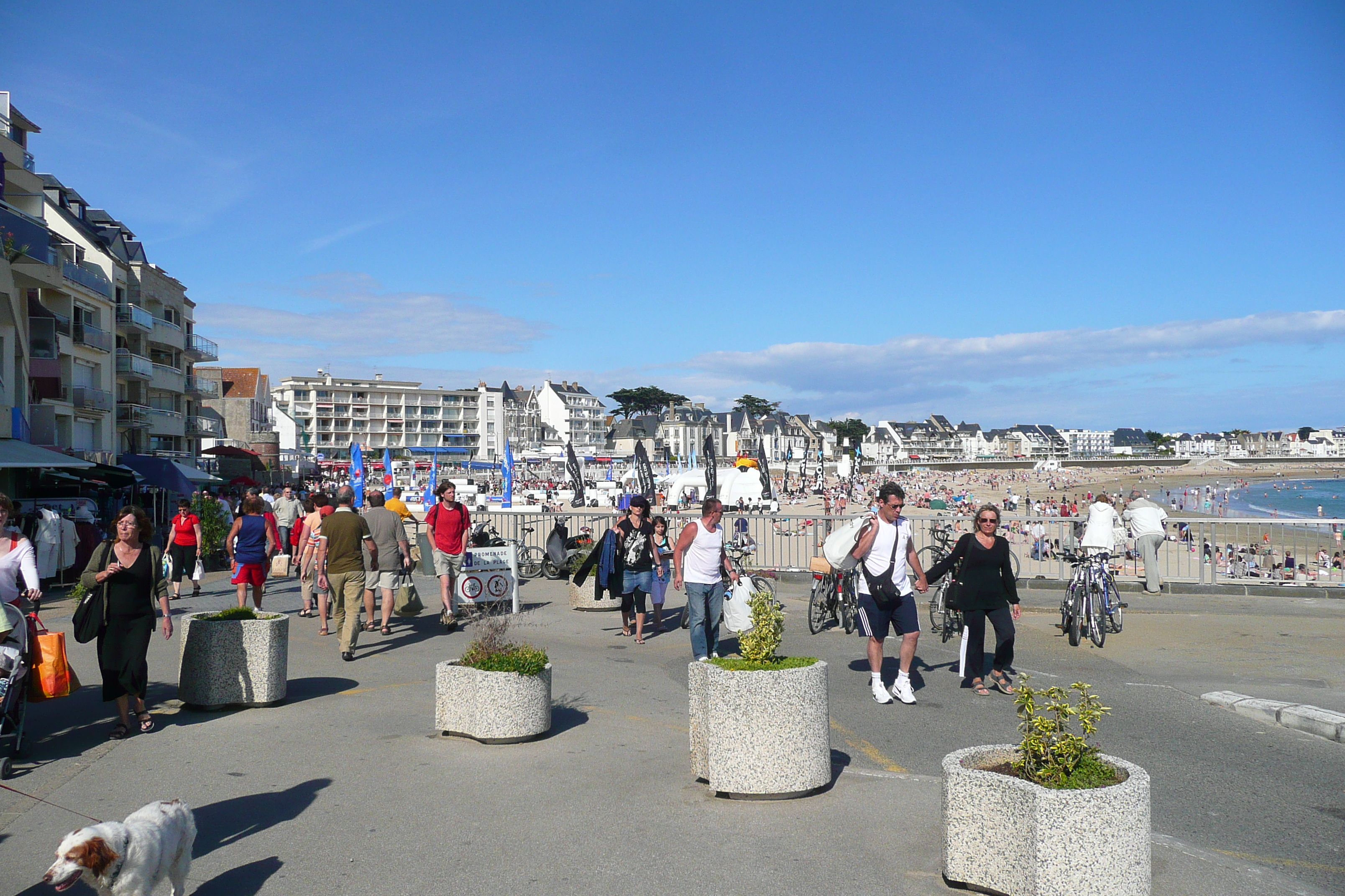 Picture France Quiberon peninsula Quiberon 2008-07 10 - Journey Quiberon