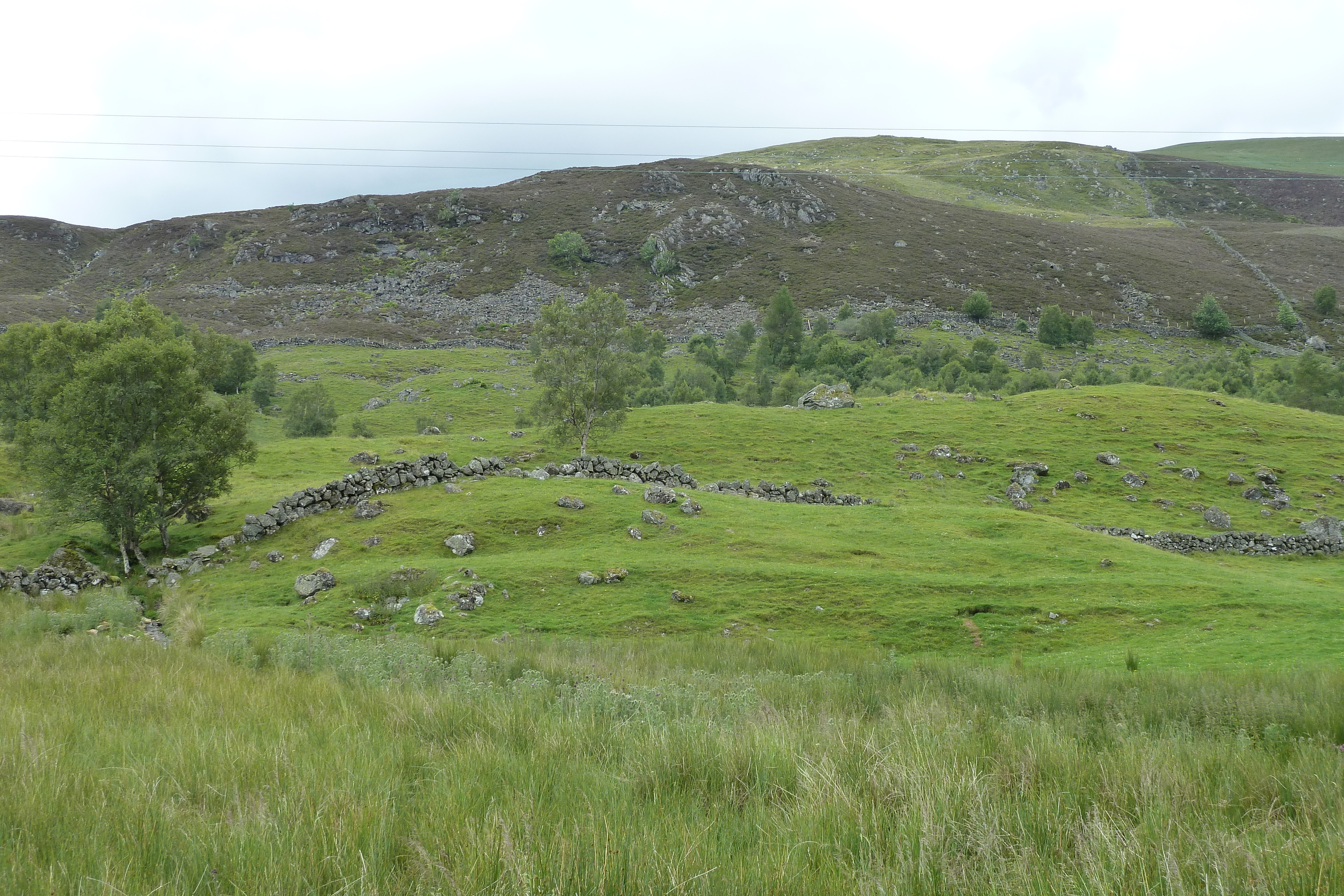 Picture United Kingdom Cairngorms National Park 2011-07 46 - Tours Cairngorms National Park