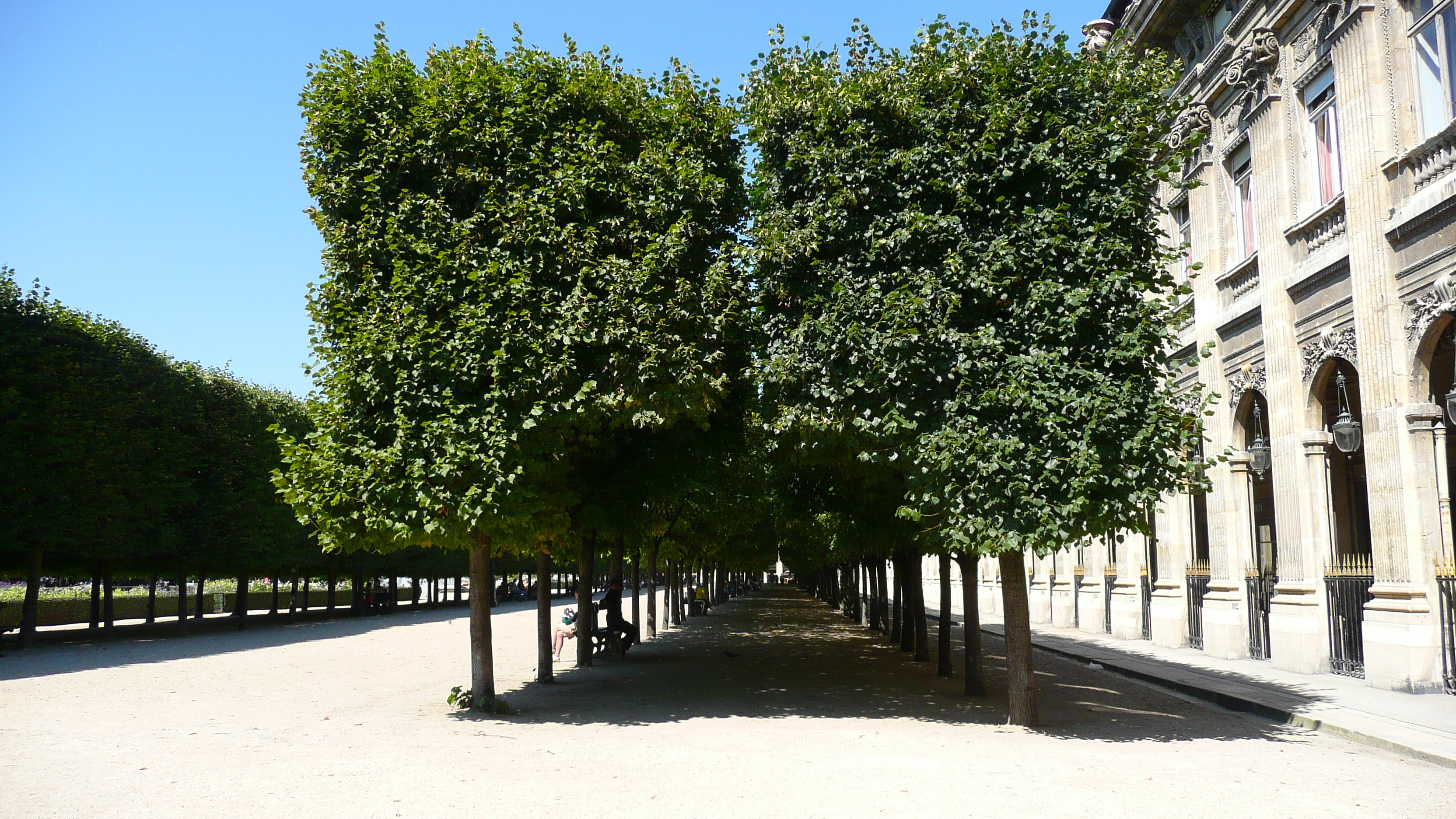 Picture France Paris Palais Royal 2007-08 27 - Tour Palais Royal