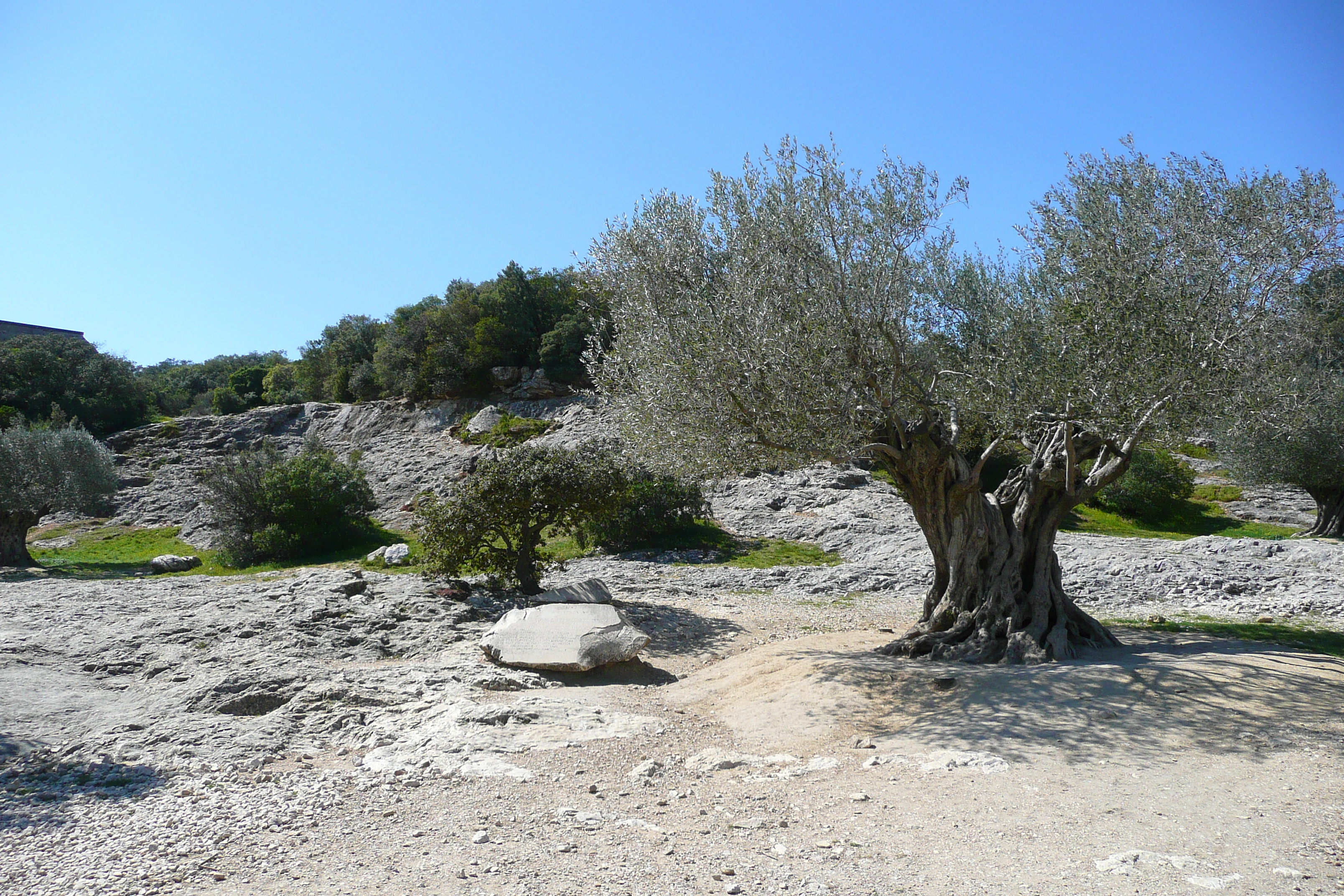 Picture France Pont du Gard 2008-04 86 - Around Pont du Gard