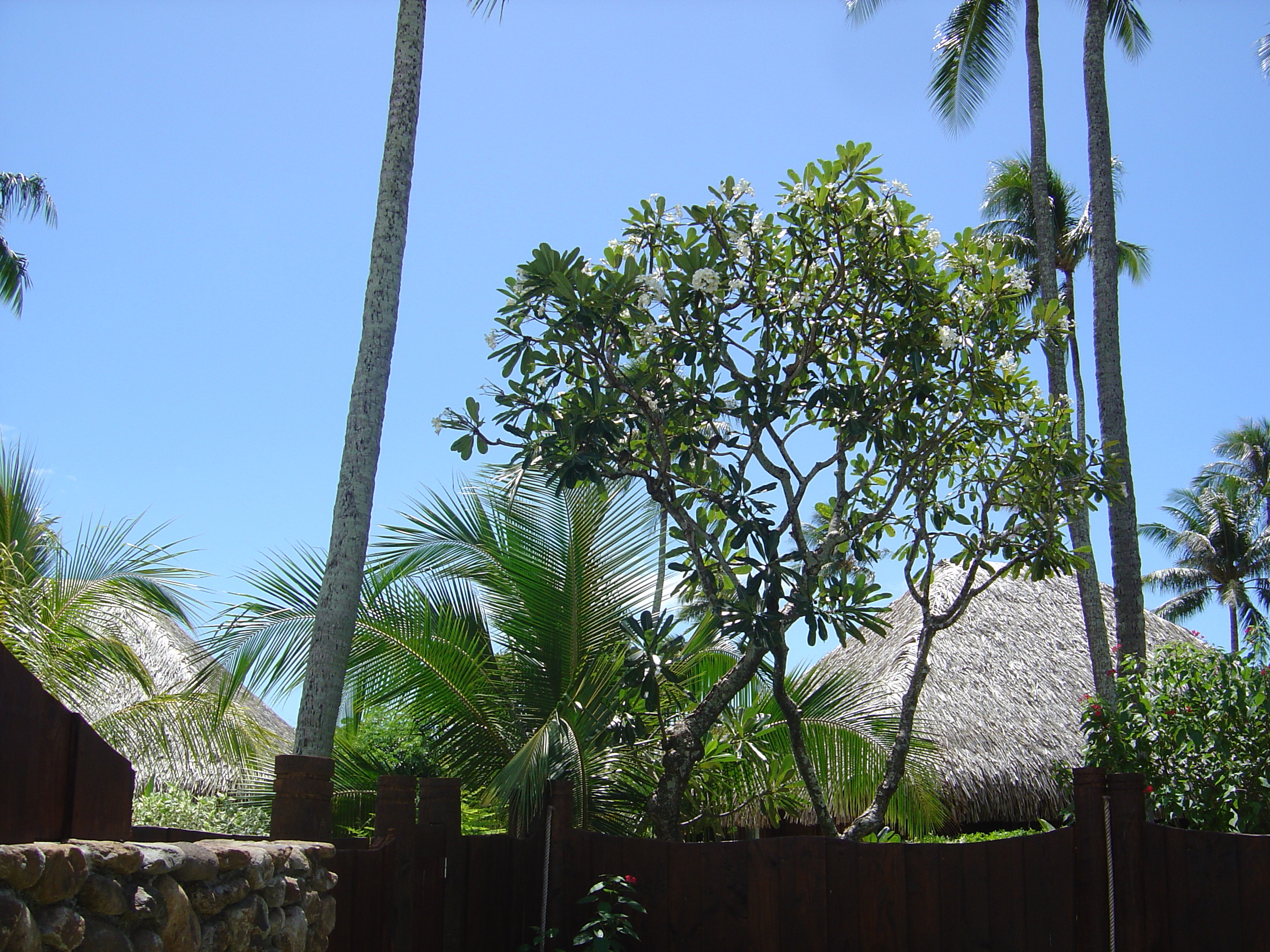 Picture Polynesia Moorea Pearl Resort Hotel 2006-04 5 - Center Pearl Resort Hotel