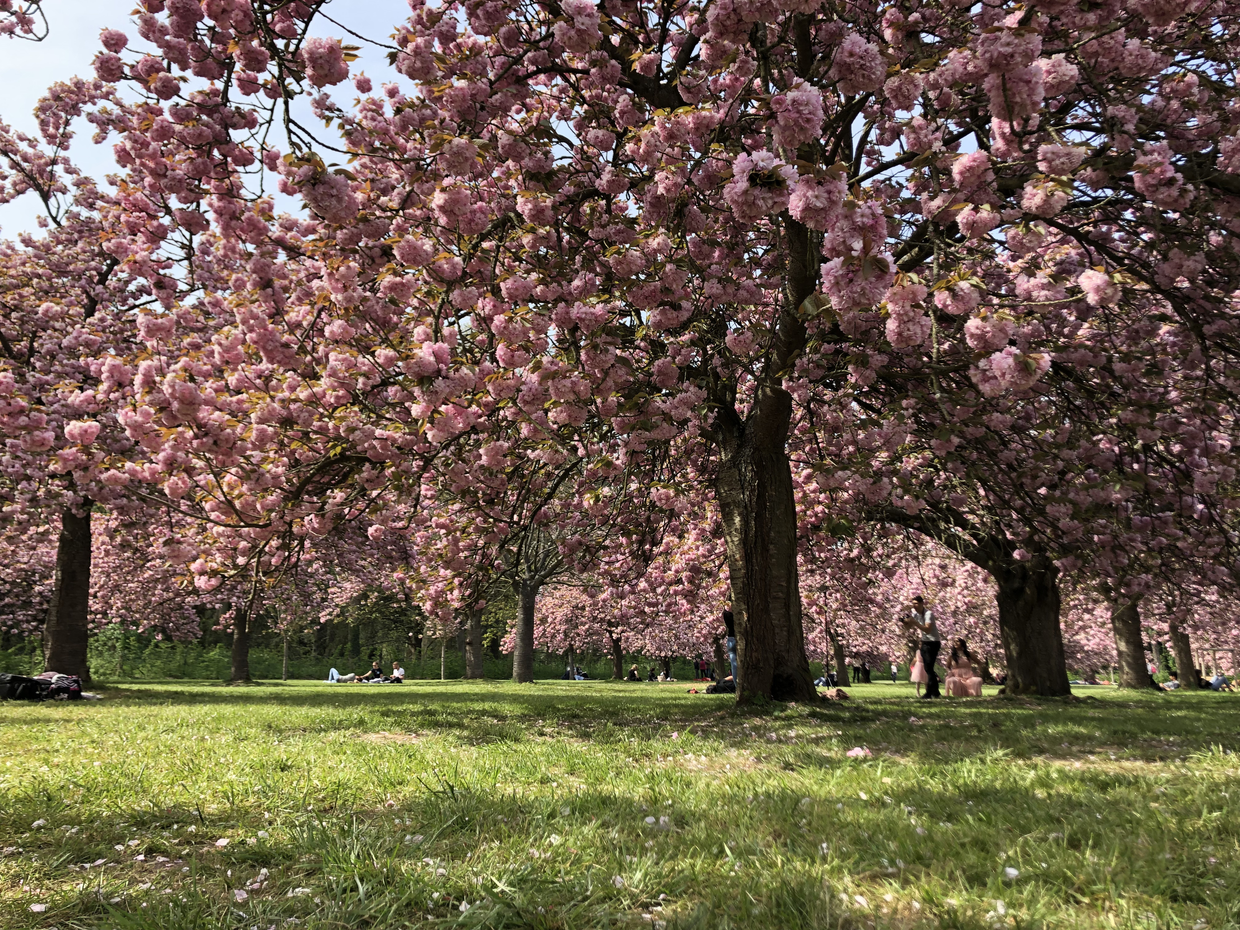 Picture France Parc de Sceaux 2019-04 67 - Recreation Parc de Sceaux