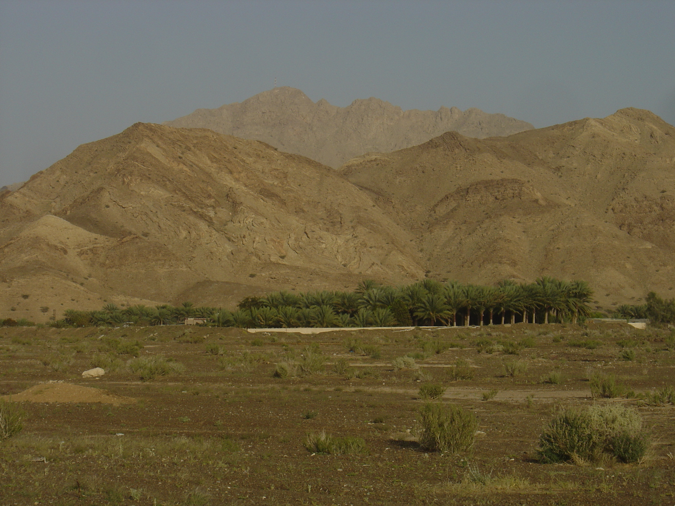 Picture Sultanate of Oman Buraimi to Mahada road 2005-03 42 - Tour Buraimi to Mahada road