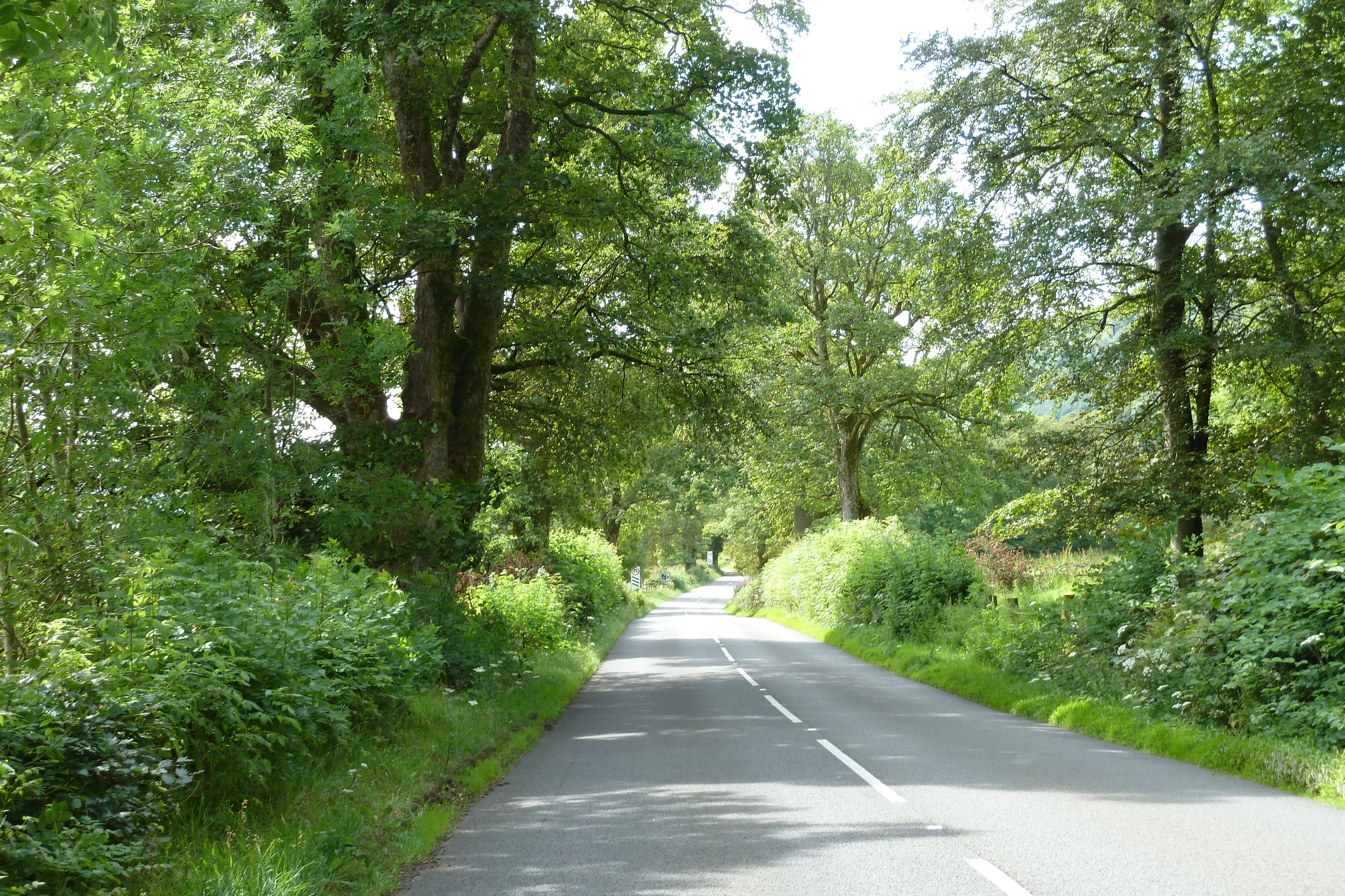 Picture United Kingdom The Trossachs 2011-07 0 - Center The Trossachs