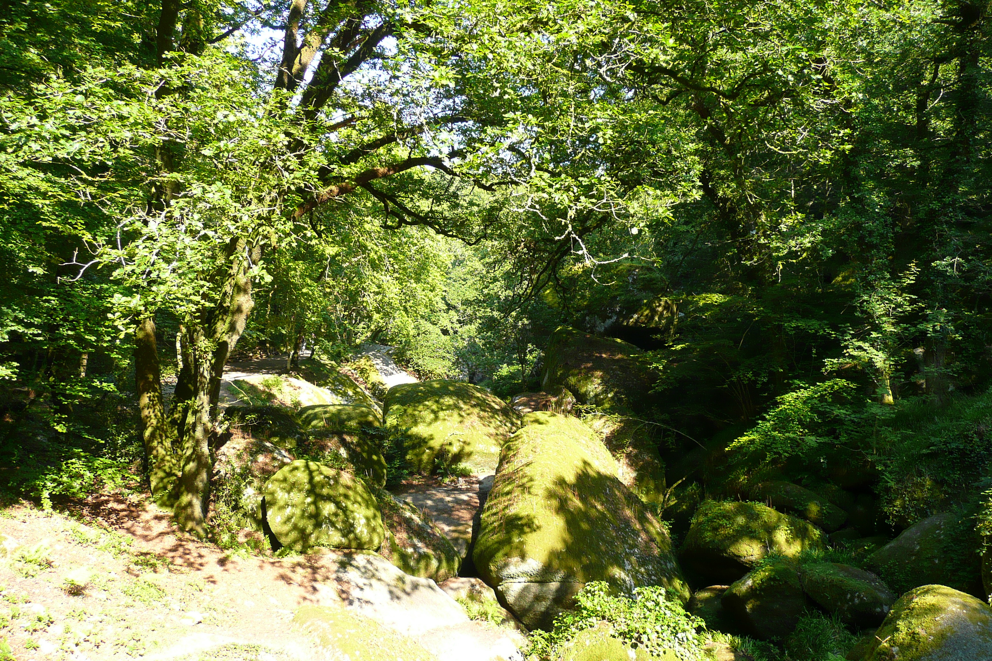 Picture France Huelgoat 2007-08 80 - Around Huelgoat