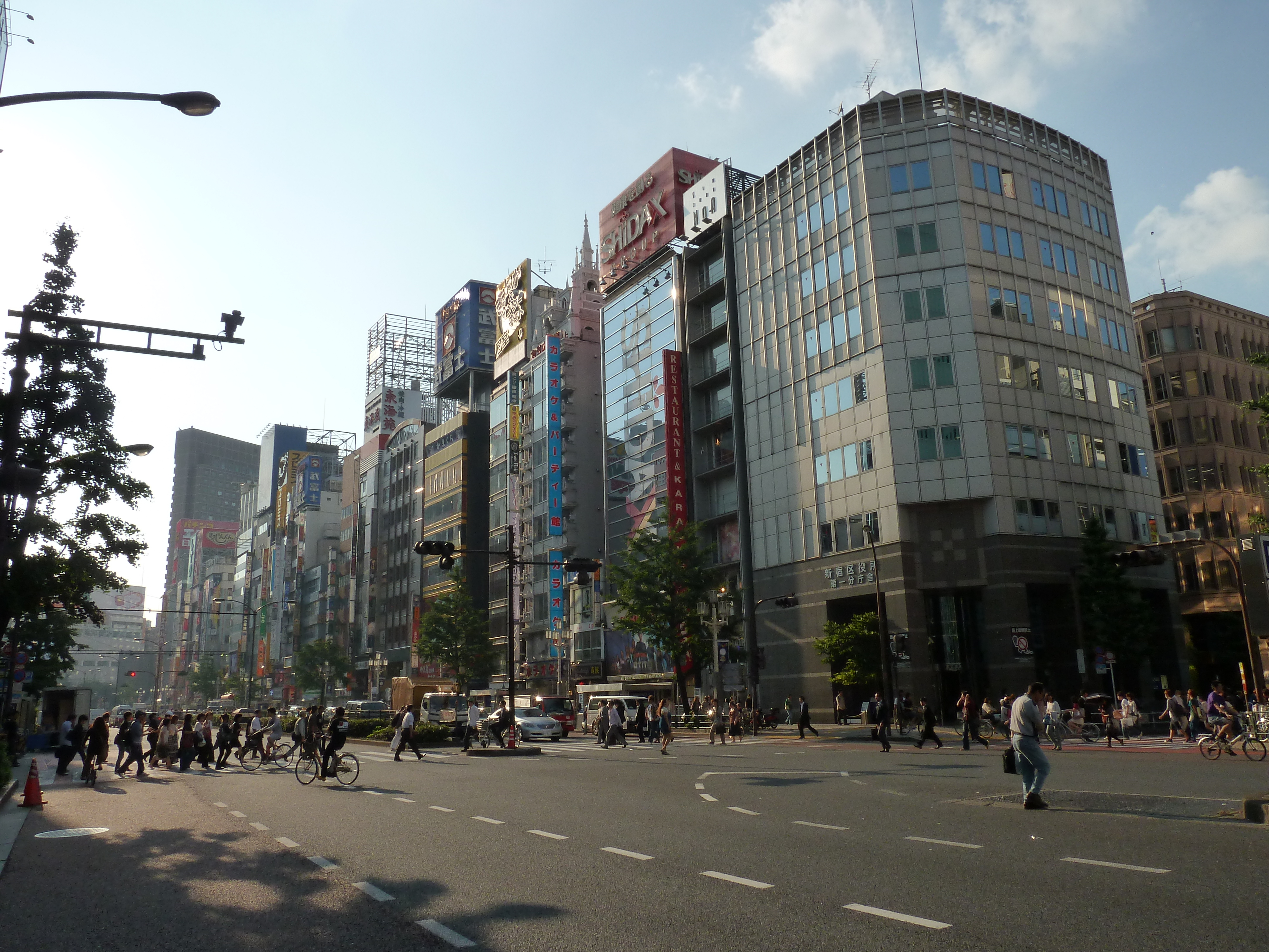 Picture Japan Tokyo Shinjuku 2010-06 59 - Tours Shinjuku