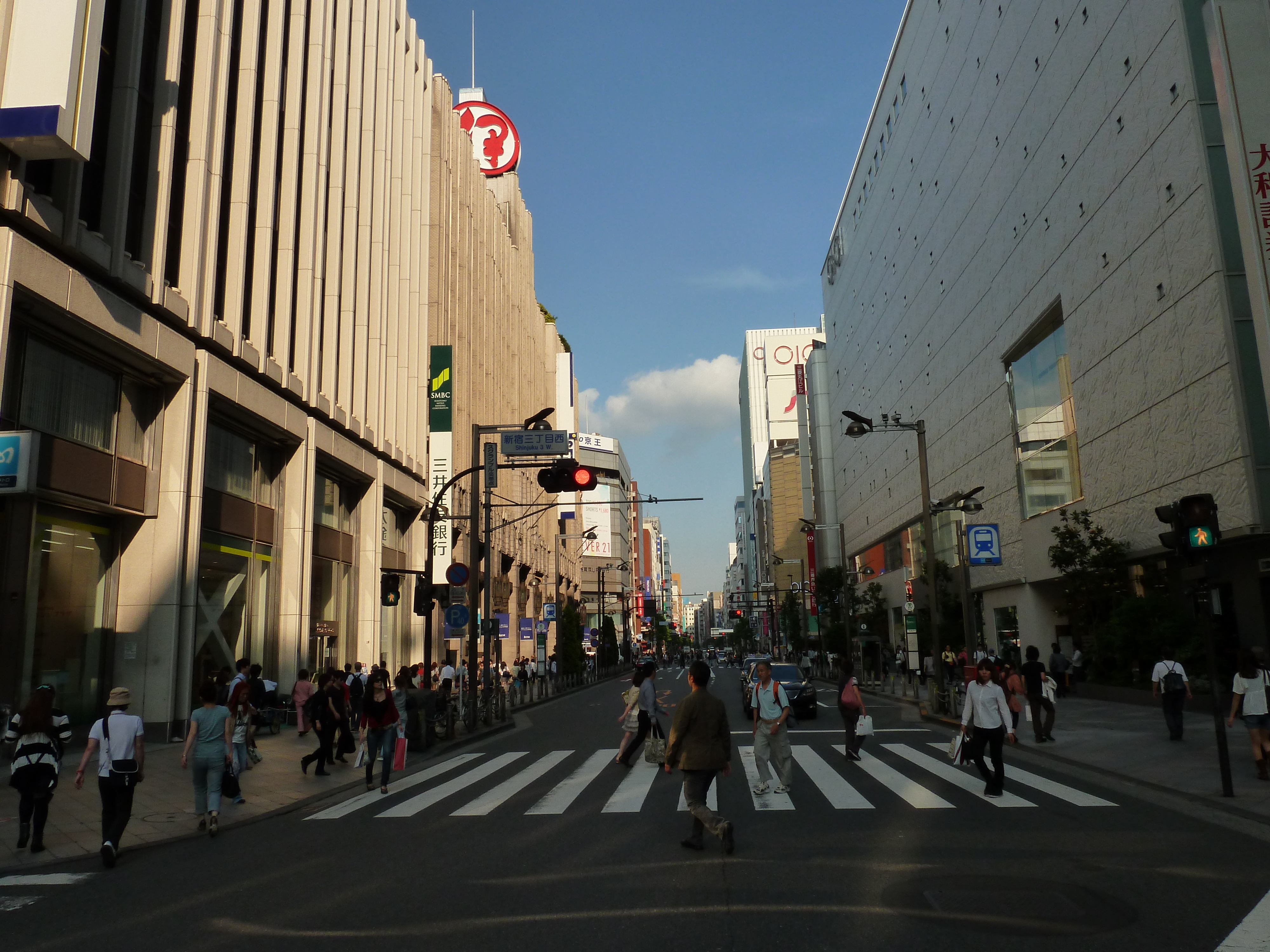 Picture Japan Tokyo Shinjuku 2010-06 63 - Around Shinjuku