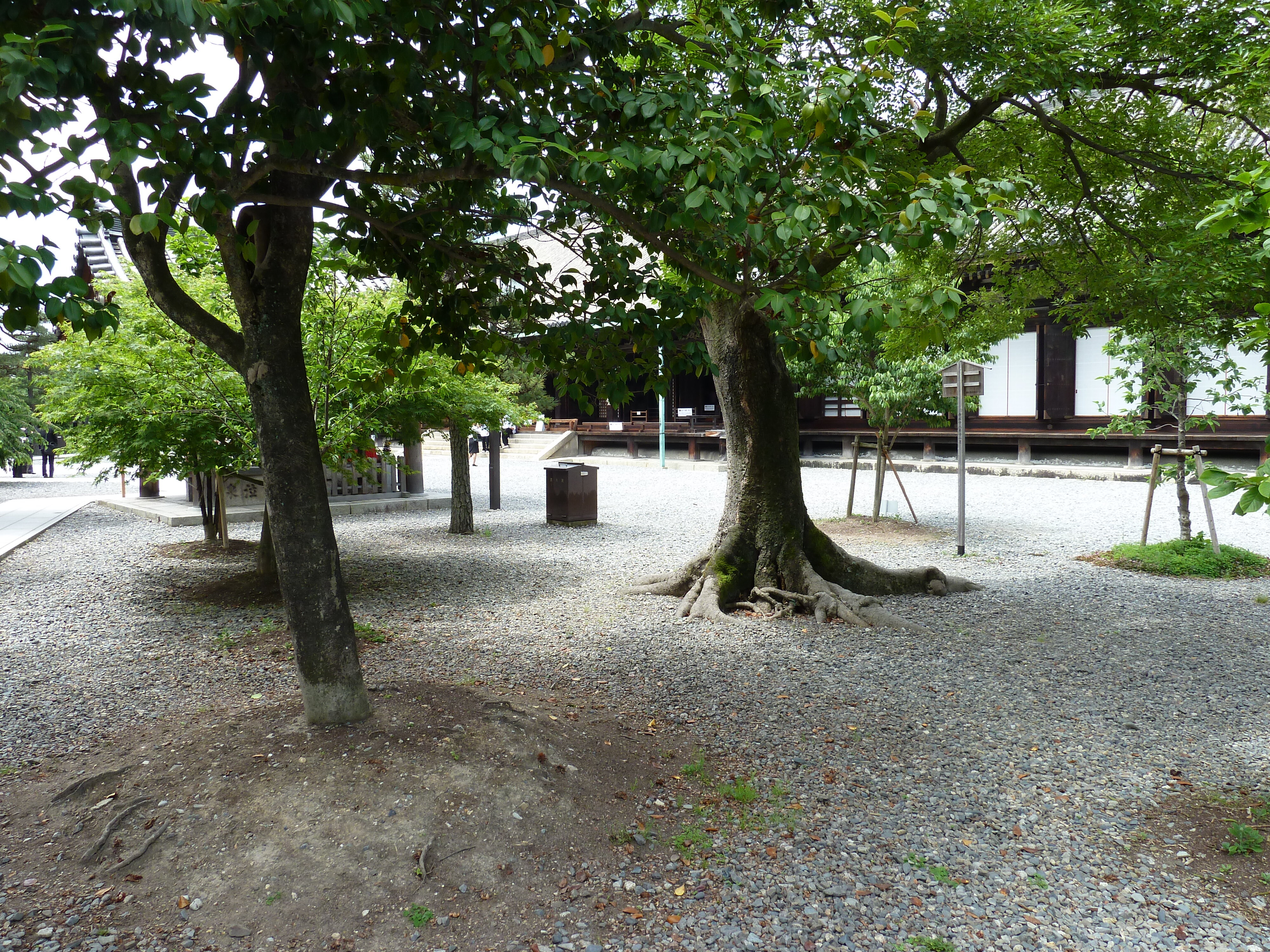 Picture Japan Kyoto Sanjusangendo temple 2010-06 36 - Around Sanjusangendo temple