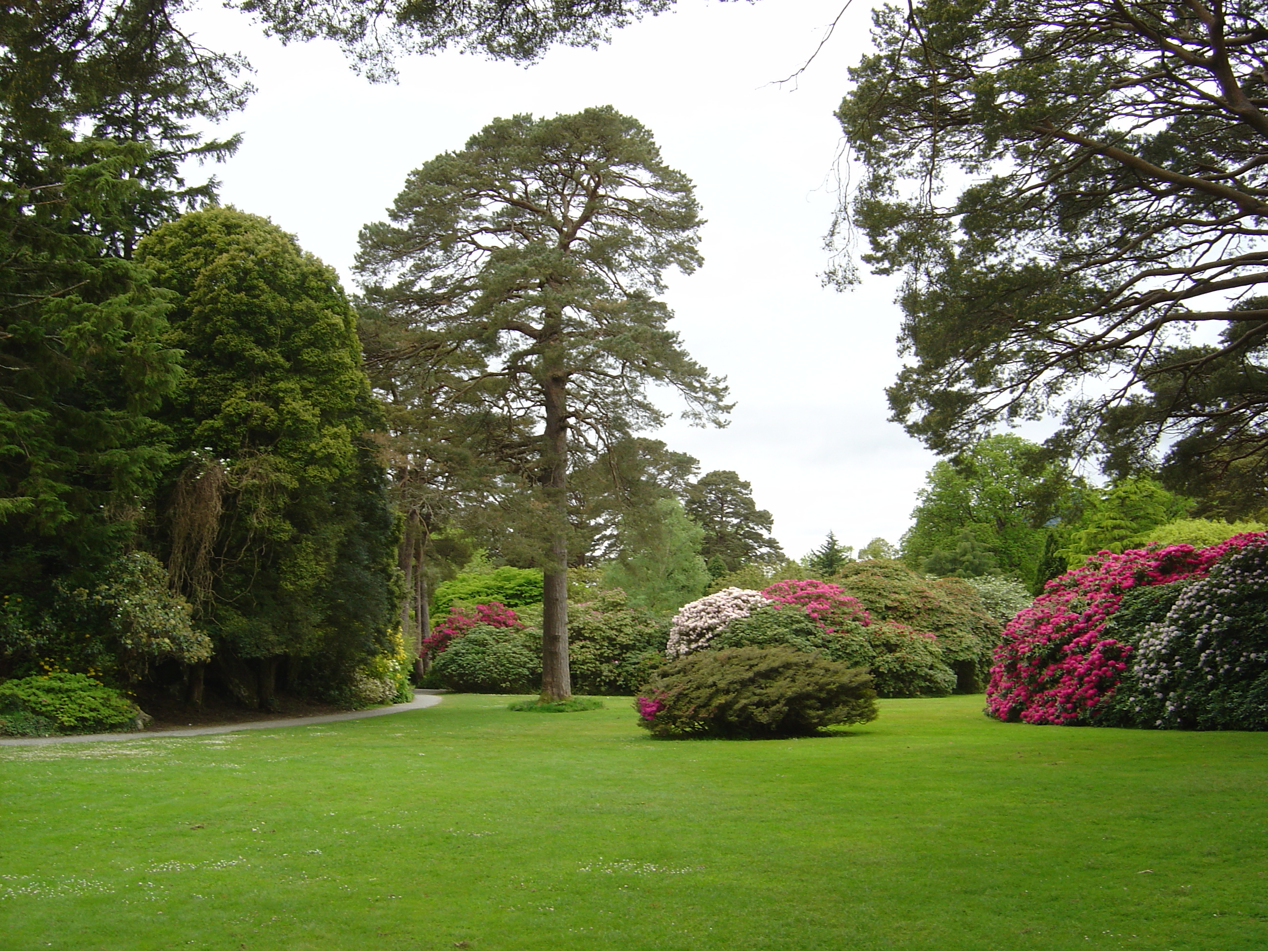 Picture Ireland Kerry Killarney National Park Muckross House 2004-05 40 - Tours Muckross House