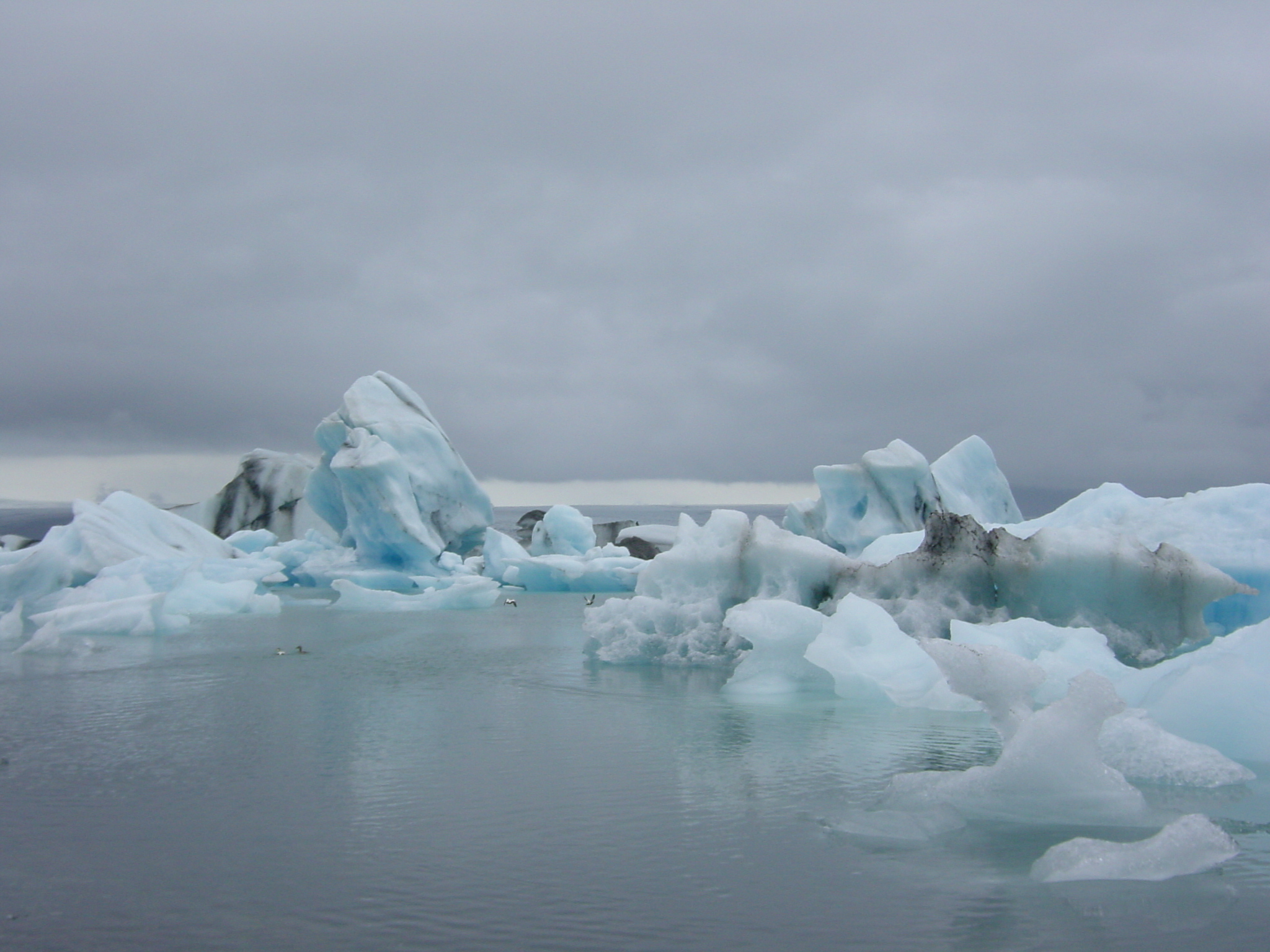 Picture Iceland Jokulsarlon 2003-06 55 - Discovery Jokulsarlon