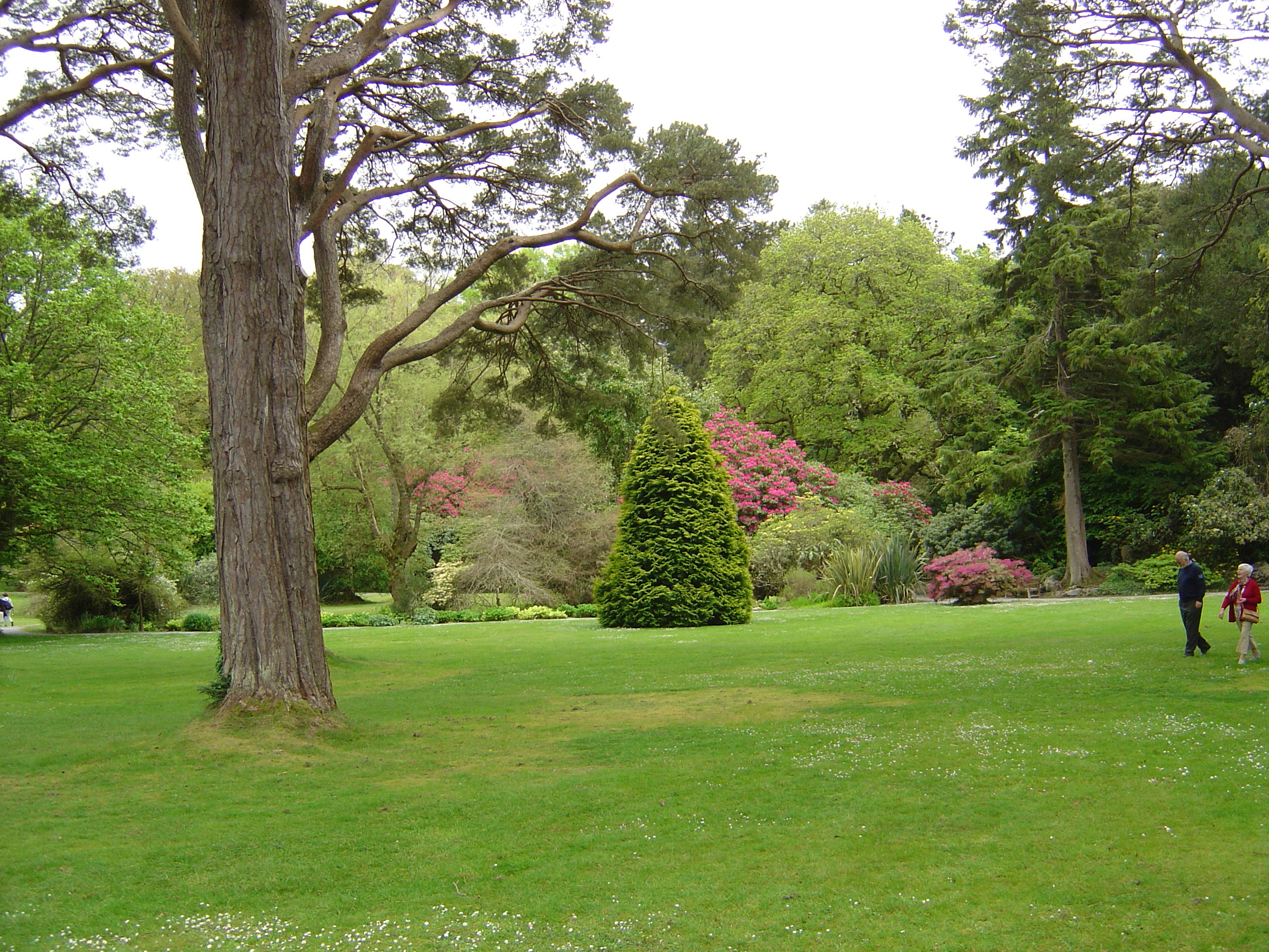 Picture Ireland Kerry Killarney National Park Muckross House 2004-05 10 - Recreation Muckross House