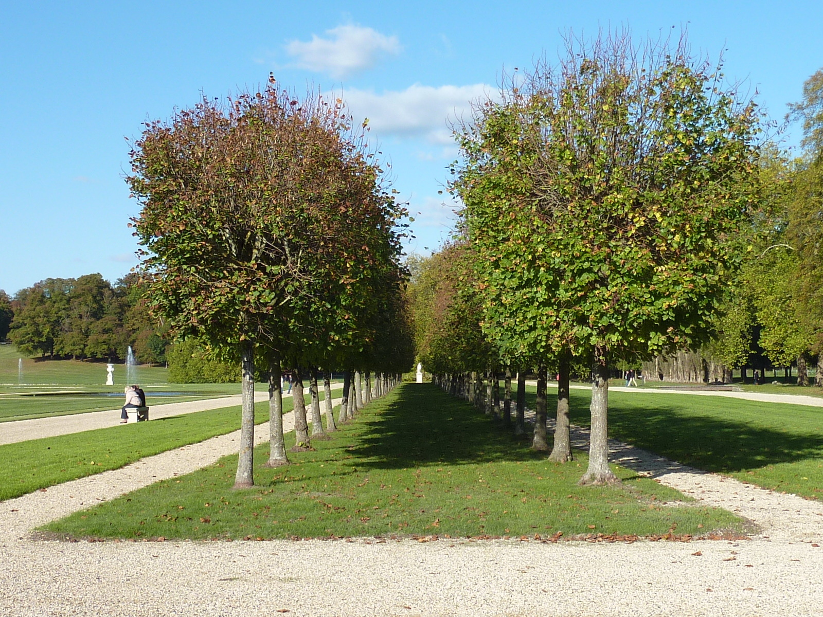 Picture France Chantilly 2009-10 113 - Tours Chantilly