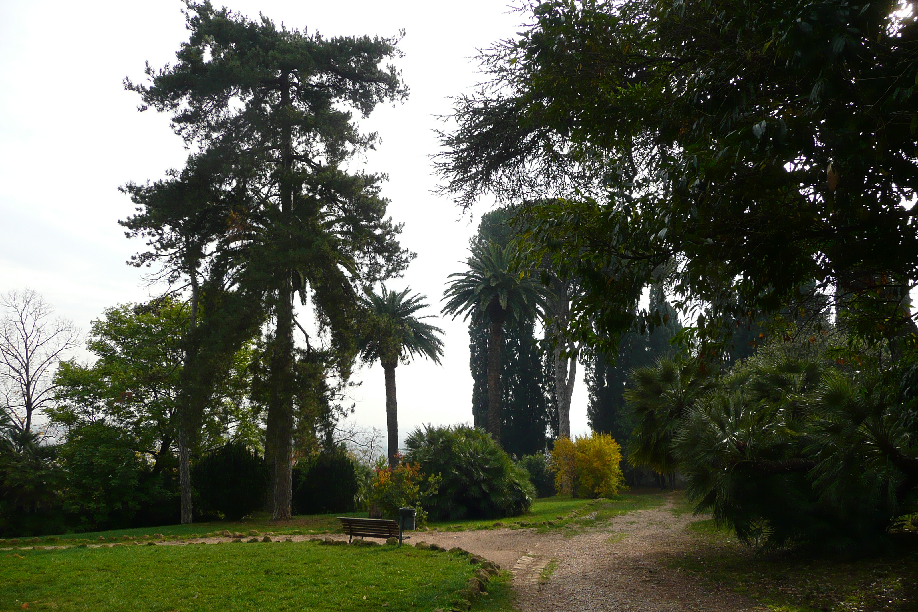 Picture Italy Rome Villa Sciarra 2007-11 26 - Center Villa Sciarra