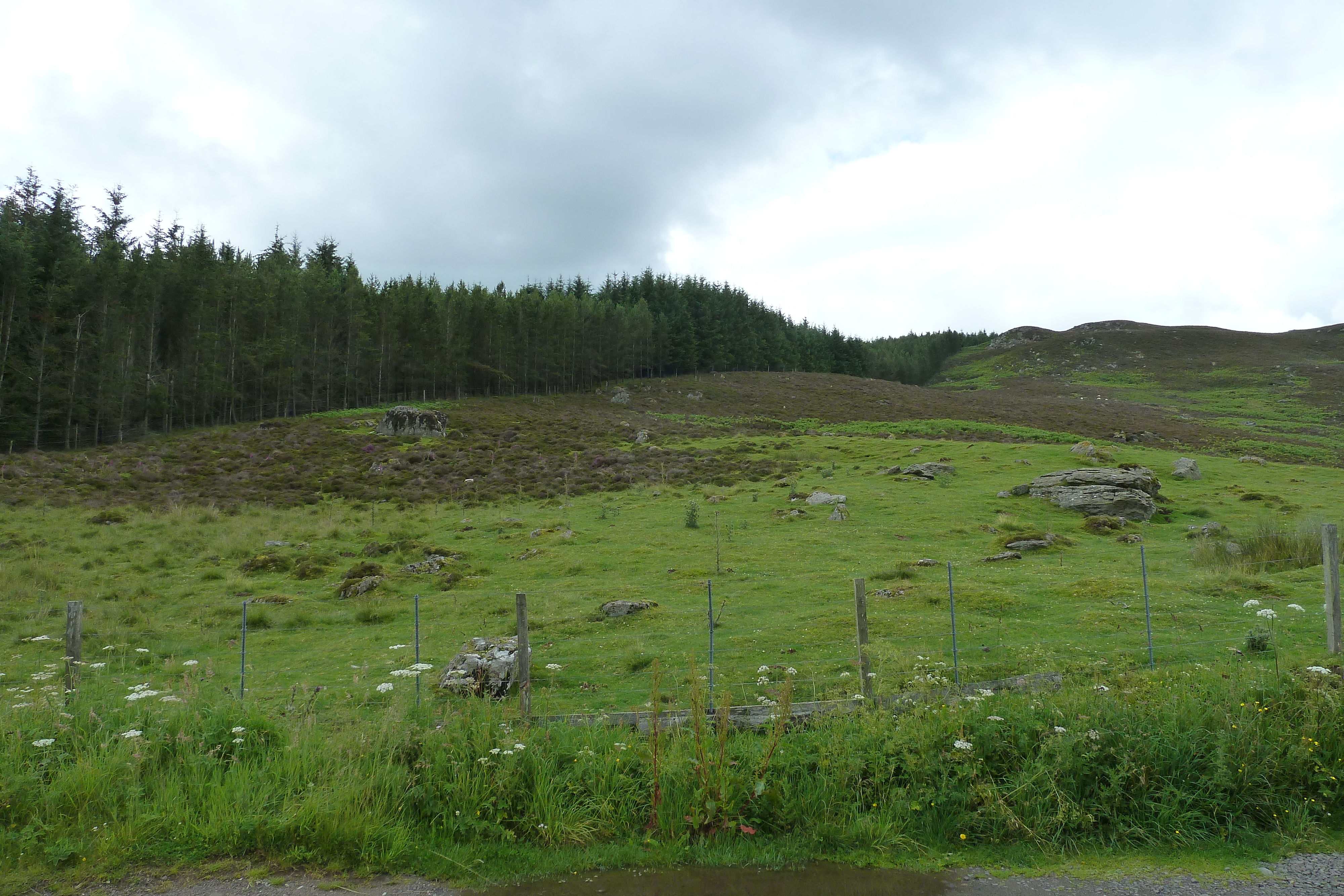 Picture United Kingdom Cairngorms National Park 2011-07 0 - Tours Cairngorms National Park