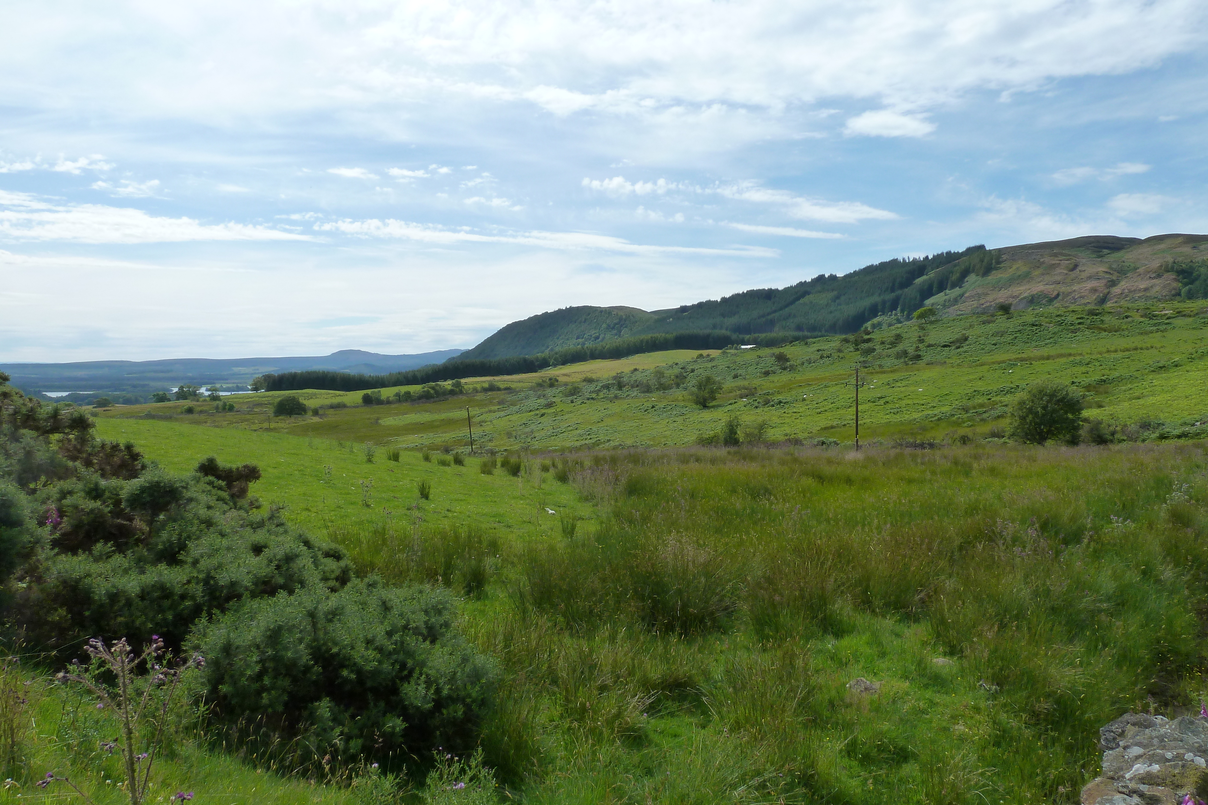 Picture United Kingdom The Trossachs 2011-07 6 - Tours The Trossachs