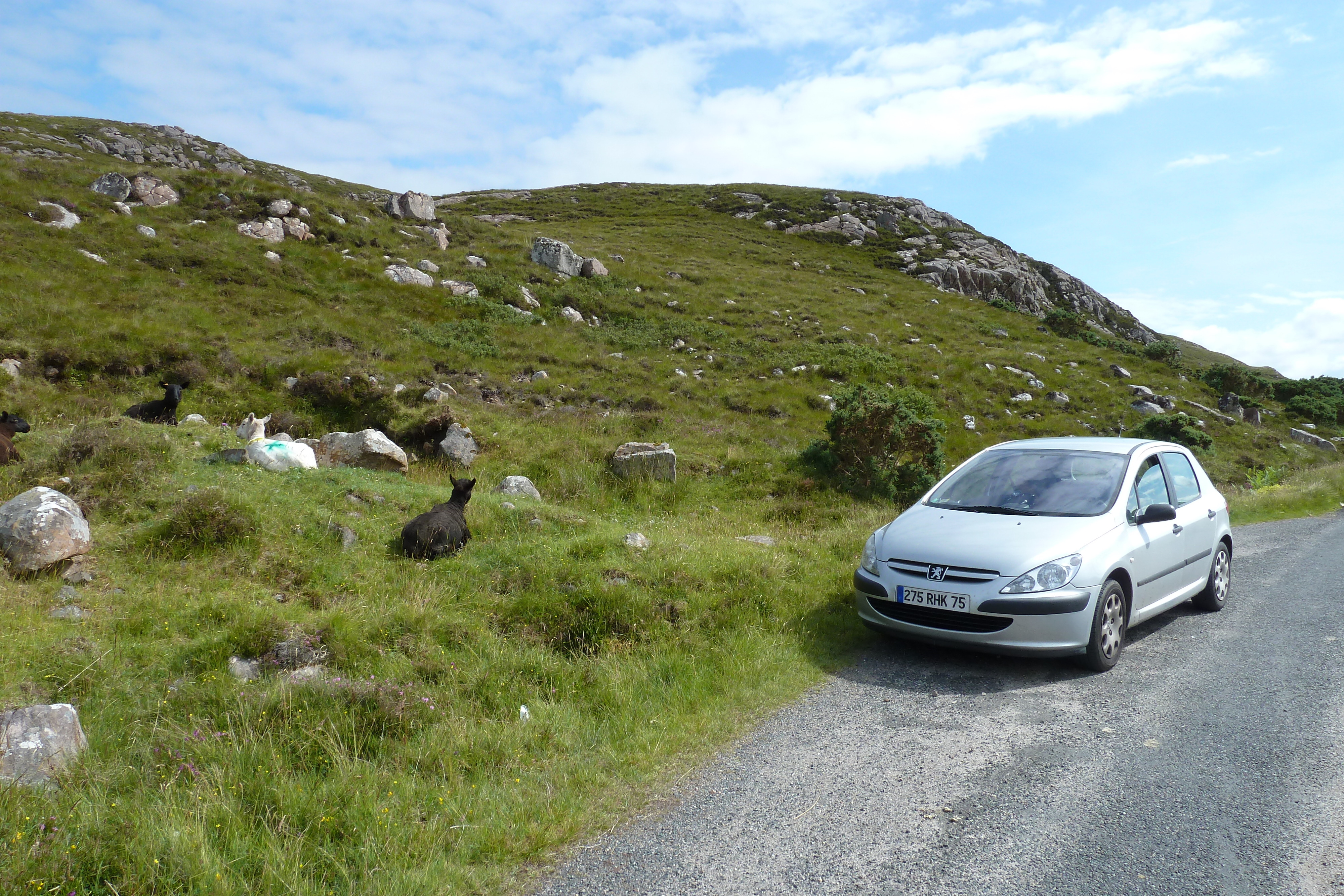 Picture United Kingdom Scotland Gairloch 2011-07 25 - Recreation Gairloch