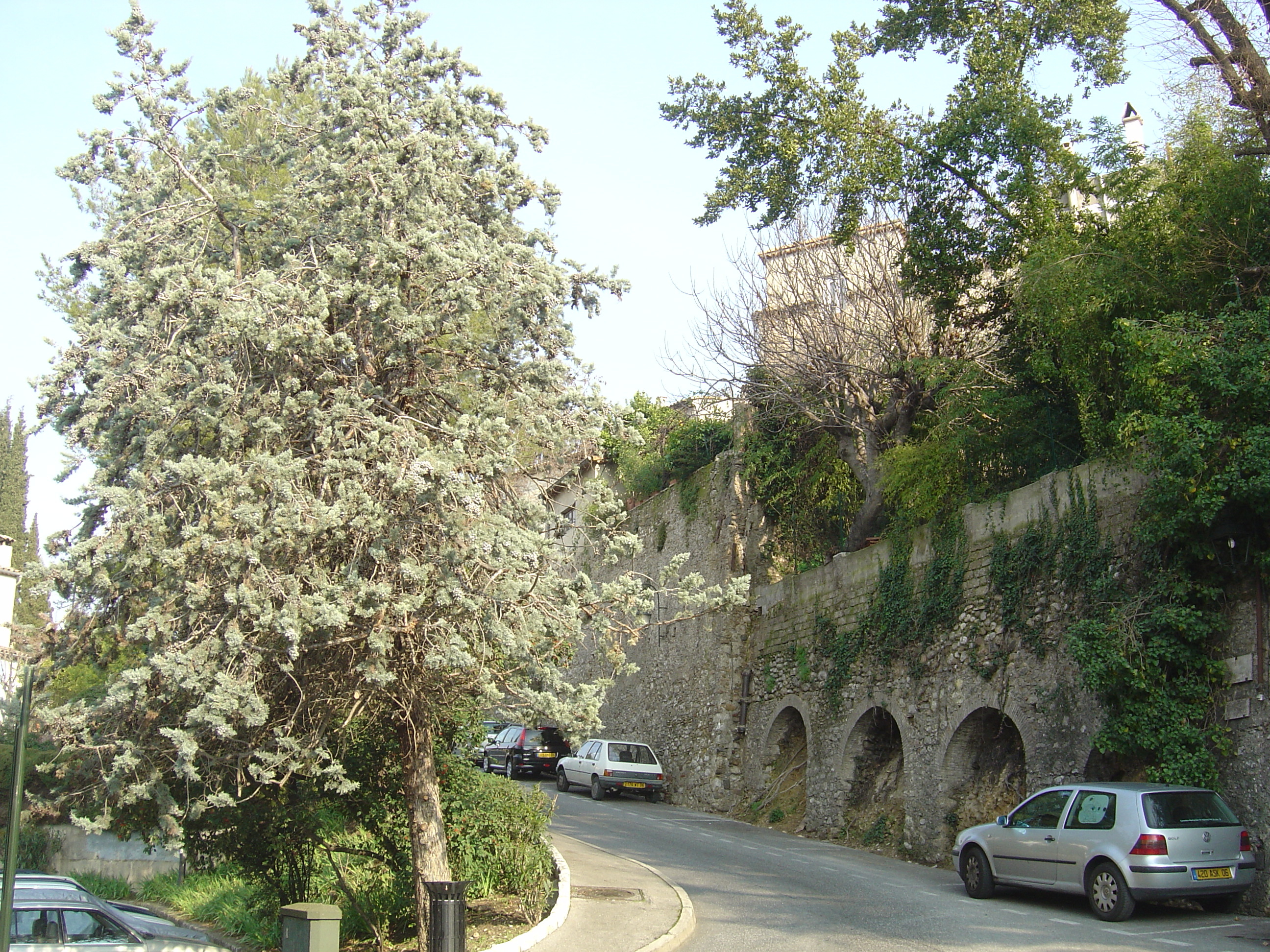 Picture France Les Hauts de Cagnes 2006-01 86 - Tour Les Hauts de Cagnes