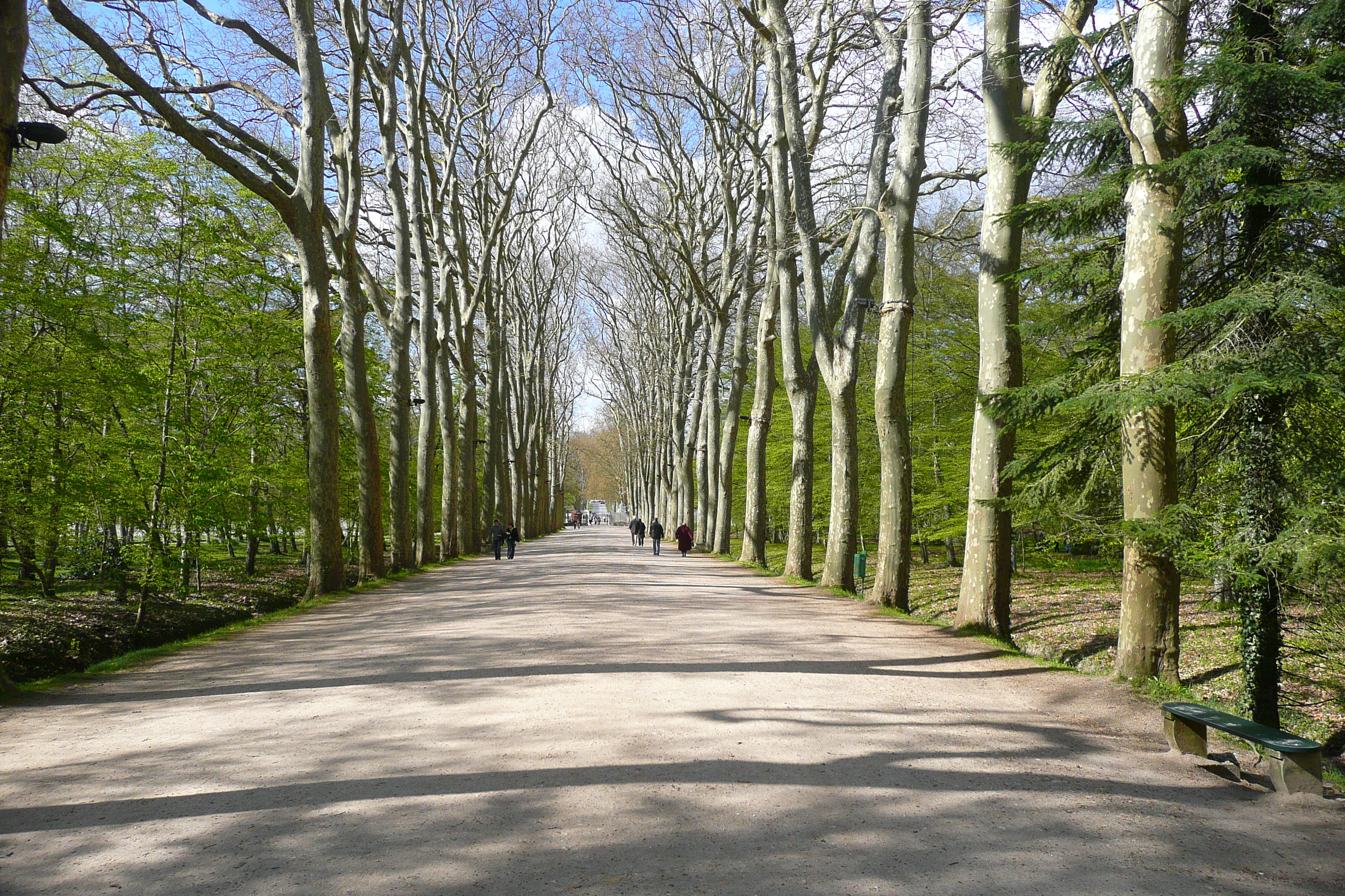 Picture France Chenonceau Castle Gardens of Chenonceau 2008-04 1 - Tour Gardens of Chenonceau