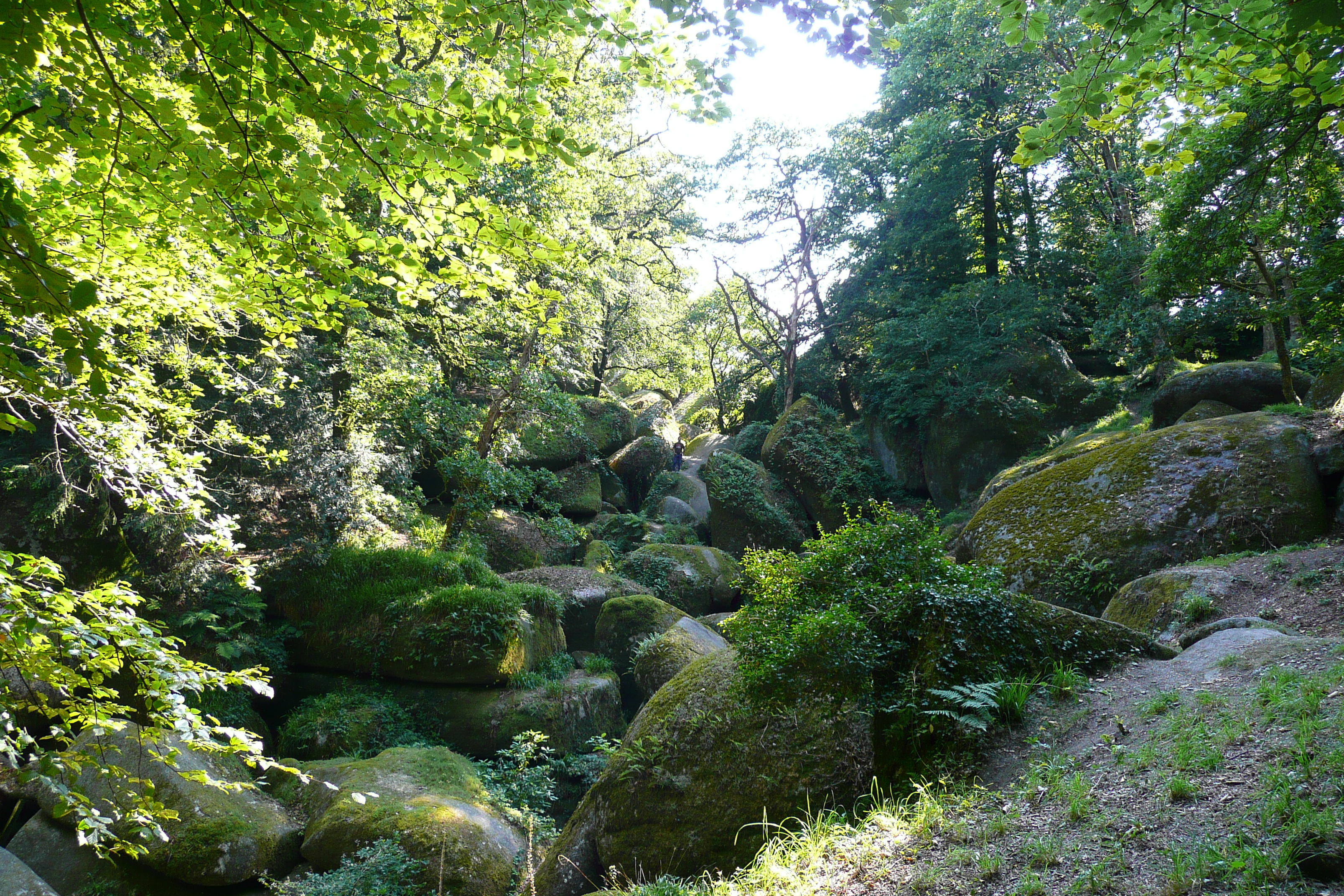 Picture France Huelgoat 2007-08 67 - Discovery Huelgoat