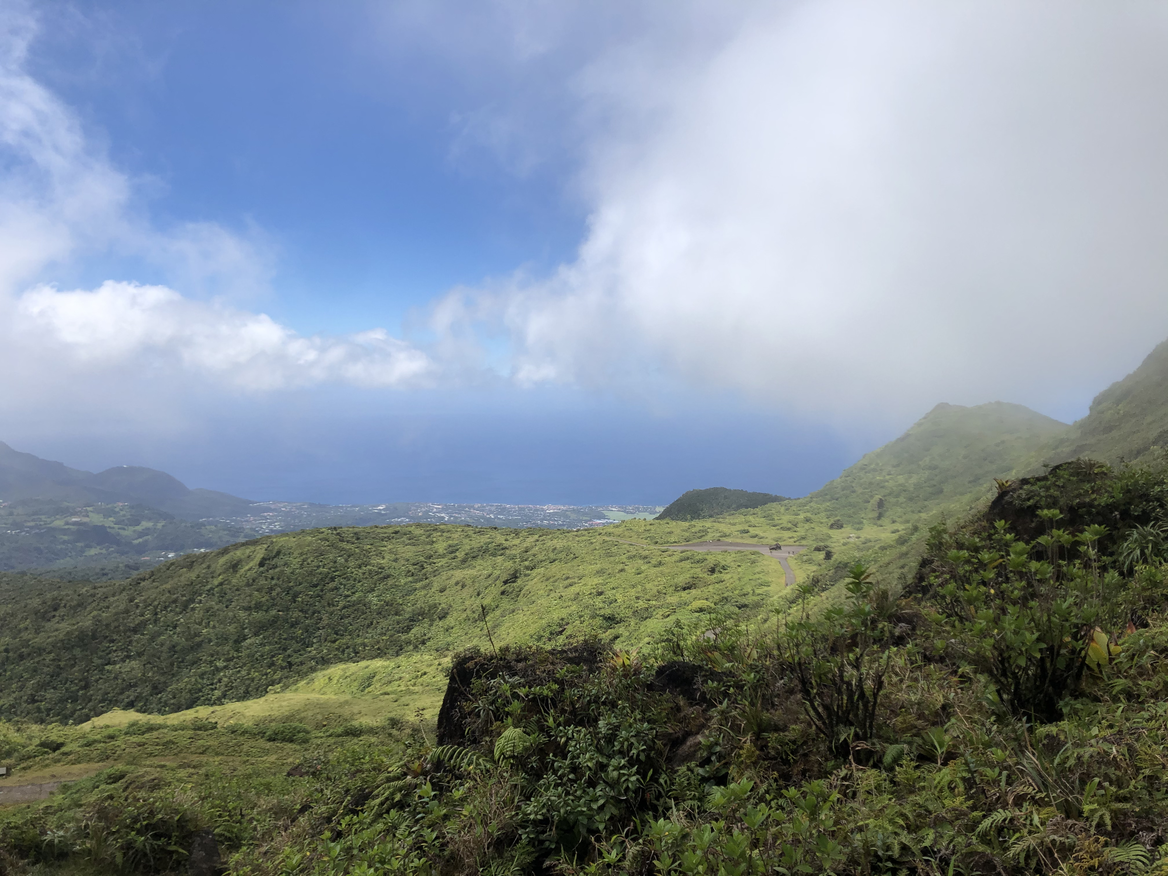 Picture Guadeloupe La Grande Soufriere 2021-02 10 - Around La Grande Soufriere