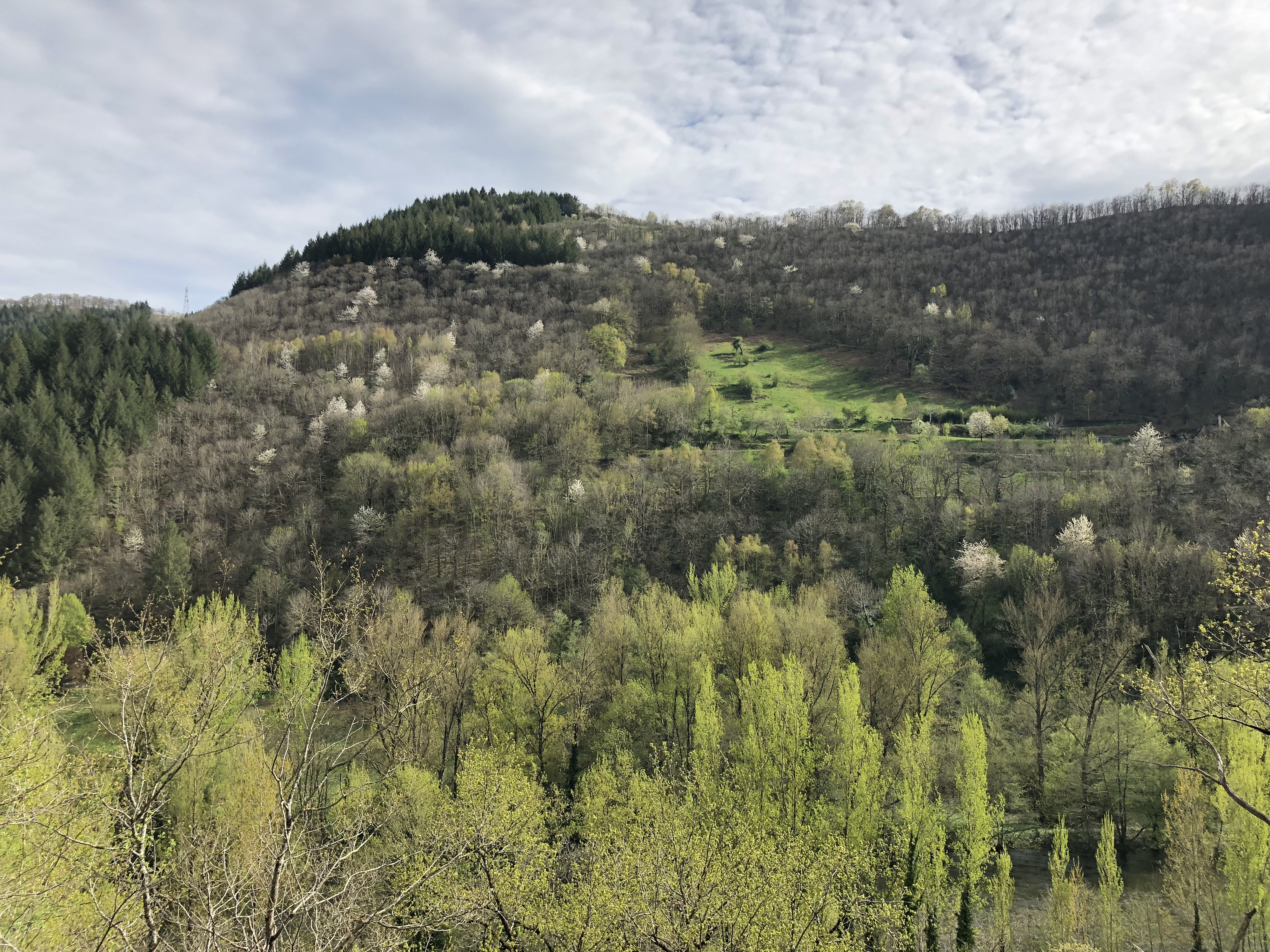 Picture France Conques 2018-04 167 - Tour Conques