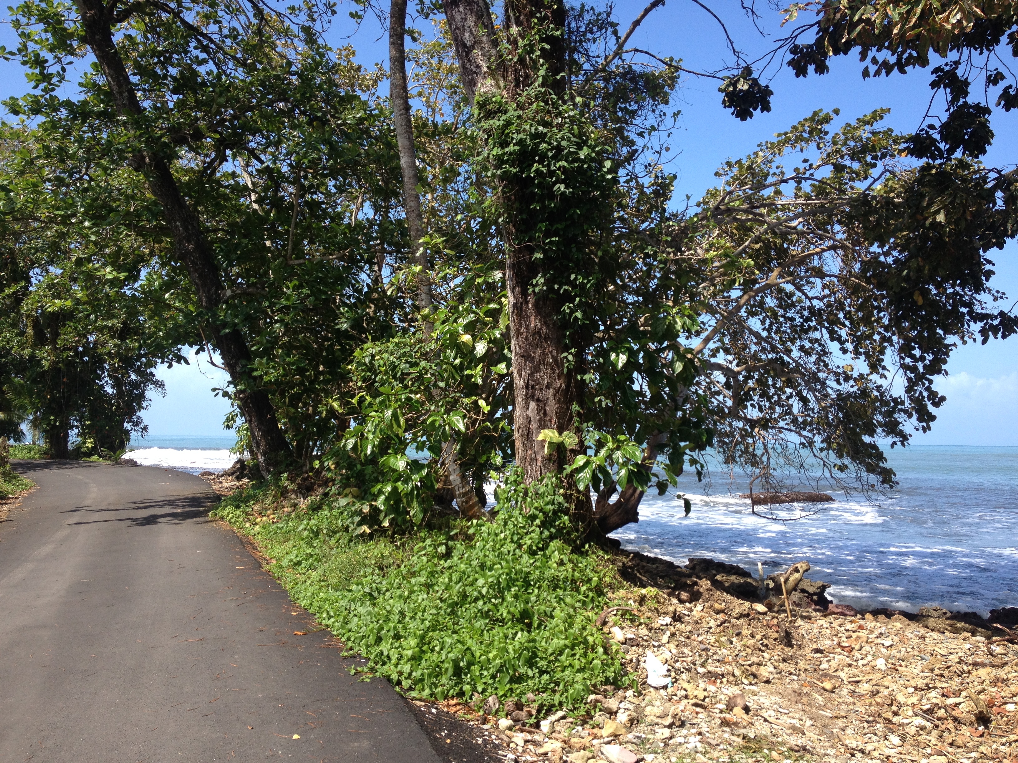 Picture Costa Rica Cahuita 2015-03 273 - Discovery Cahuita