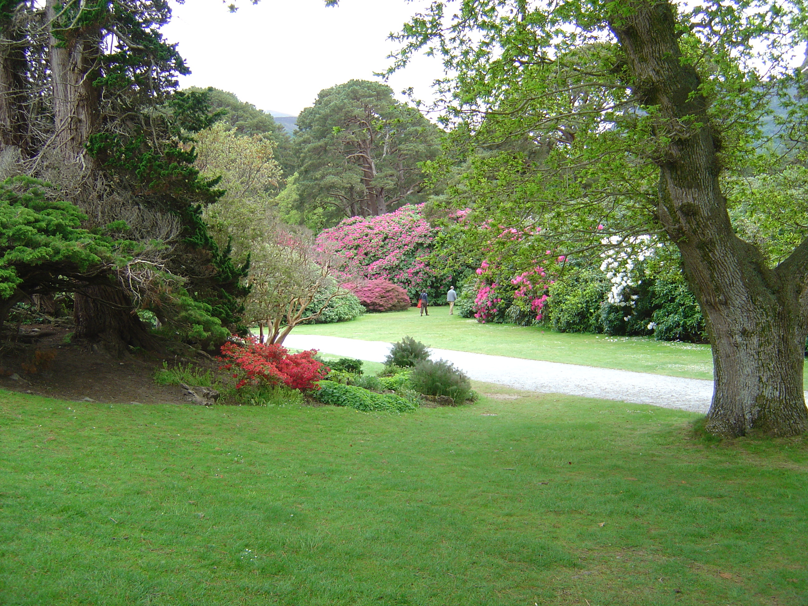 Picture Ireland Kerry Killarney National Park Muckross House 2004-05 18 - Journey Muckross House