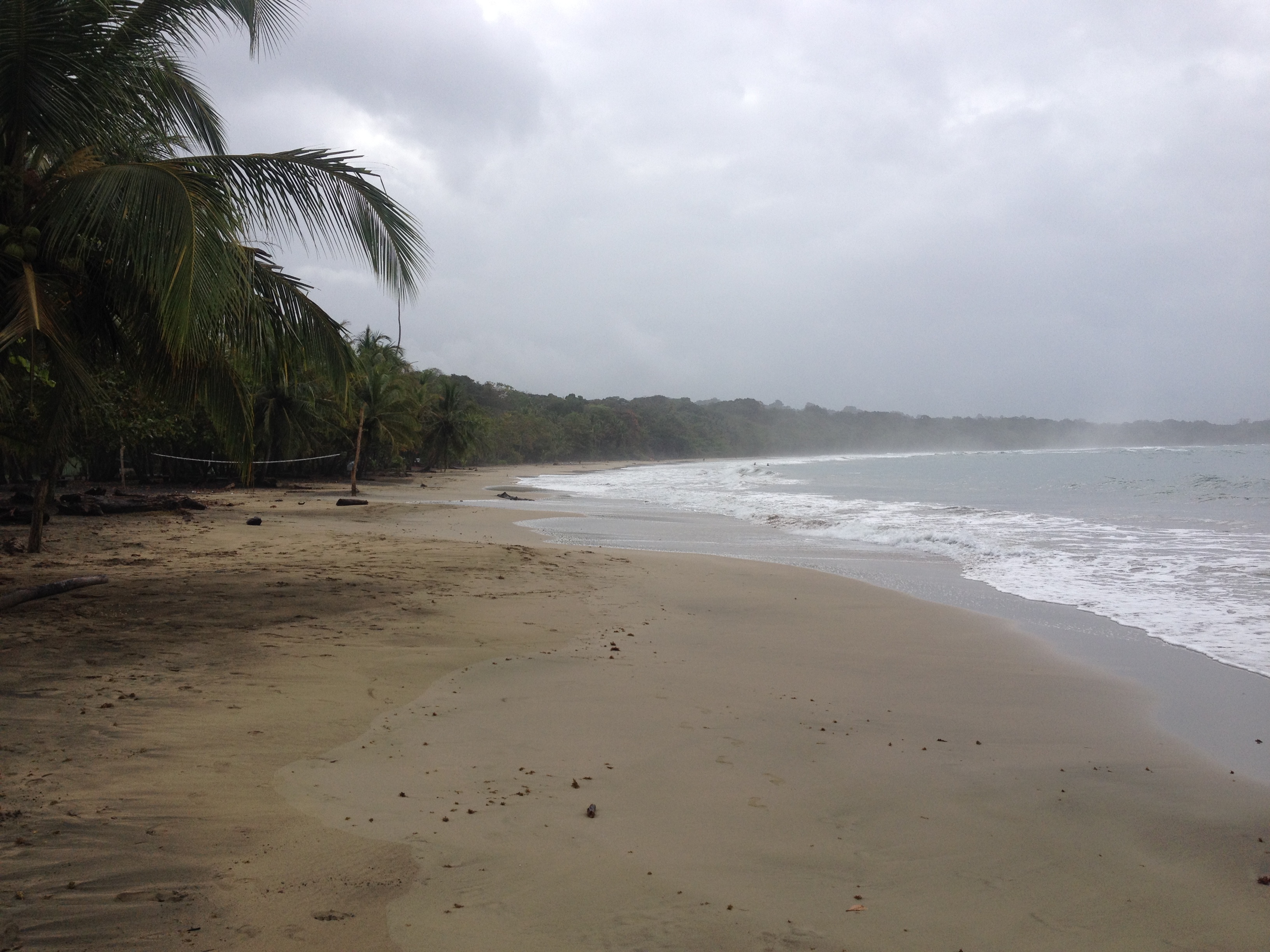 Picture Costa Rica Puerto Viejo de Talamanca 2015-03 70 - Tours Puerto Viejo de Talamanca