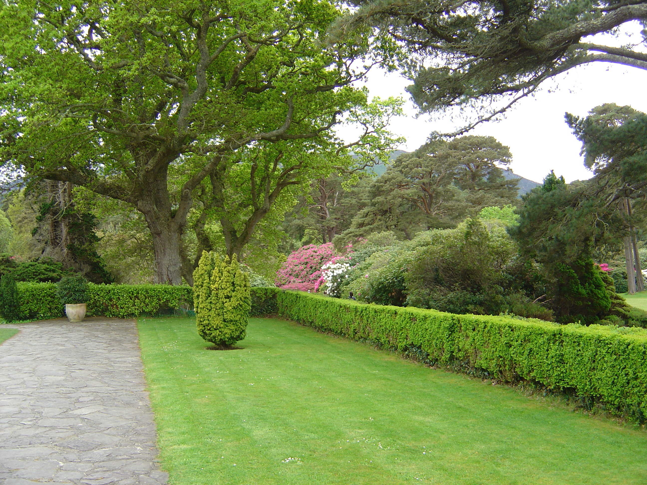 Picture Ireland Kerry Killarney National Park Muckross House 2004-05 15 - Discovery Muckross House