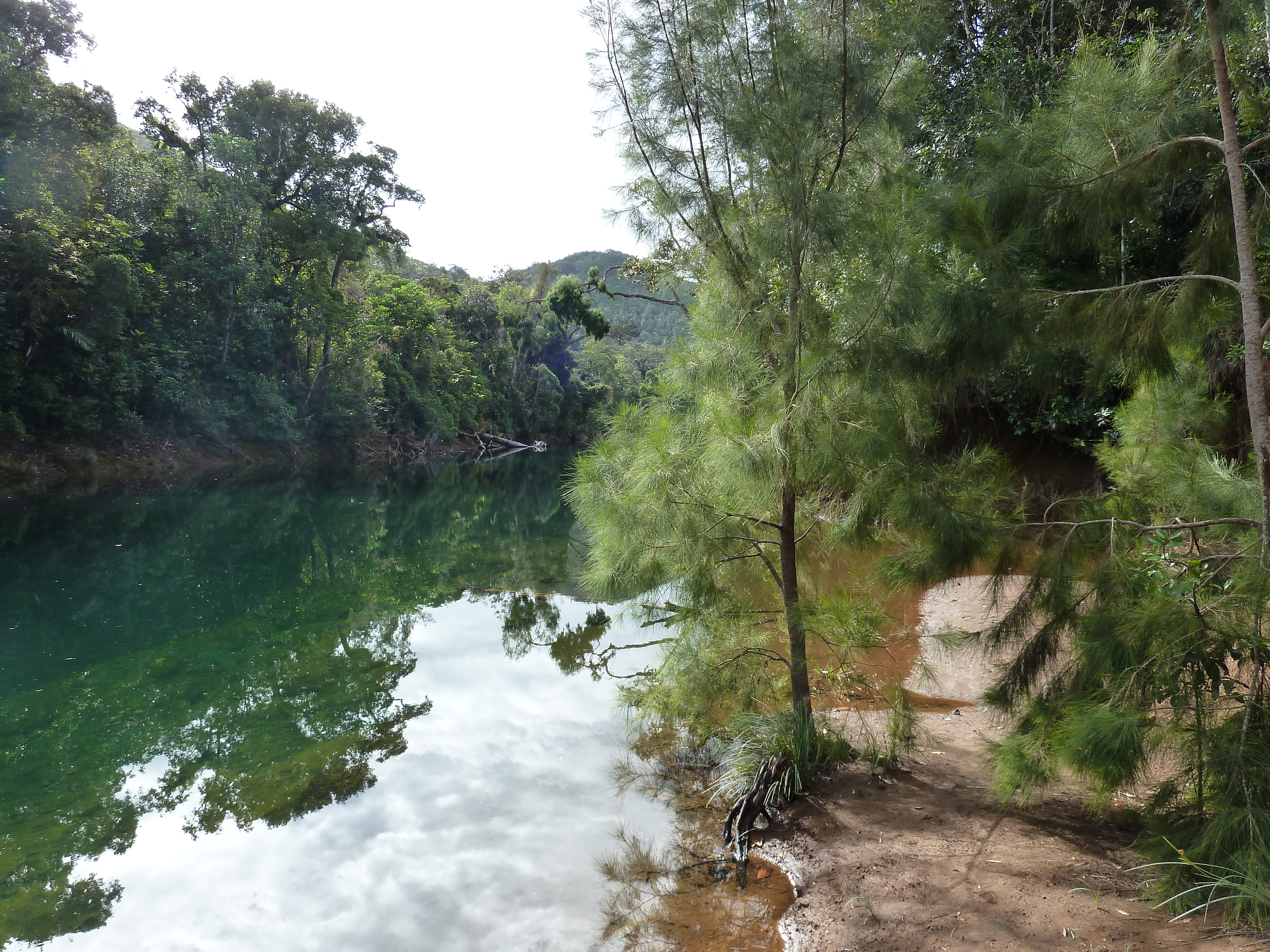 Picture New Caledonia Parc de la Riviere Bleue 2010-05 157 - Around Parc de la Riviere Bleue