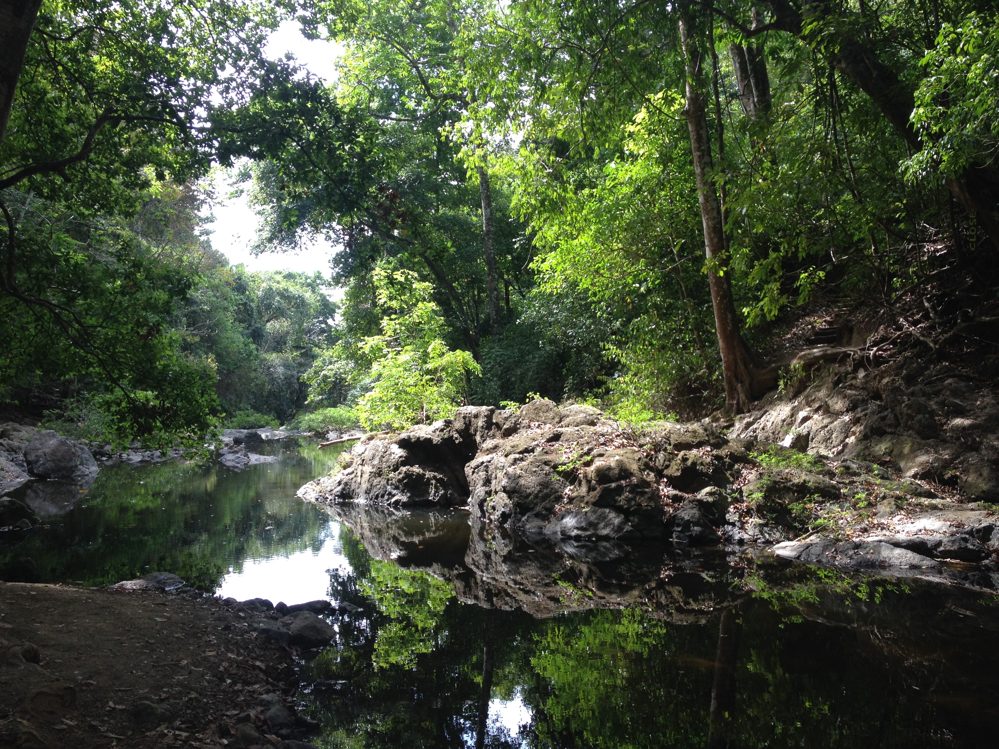 Picture Costa Rica Montezuma 2015-03 377 - Around Montezuma