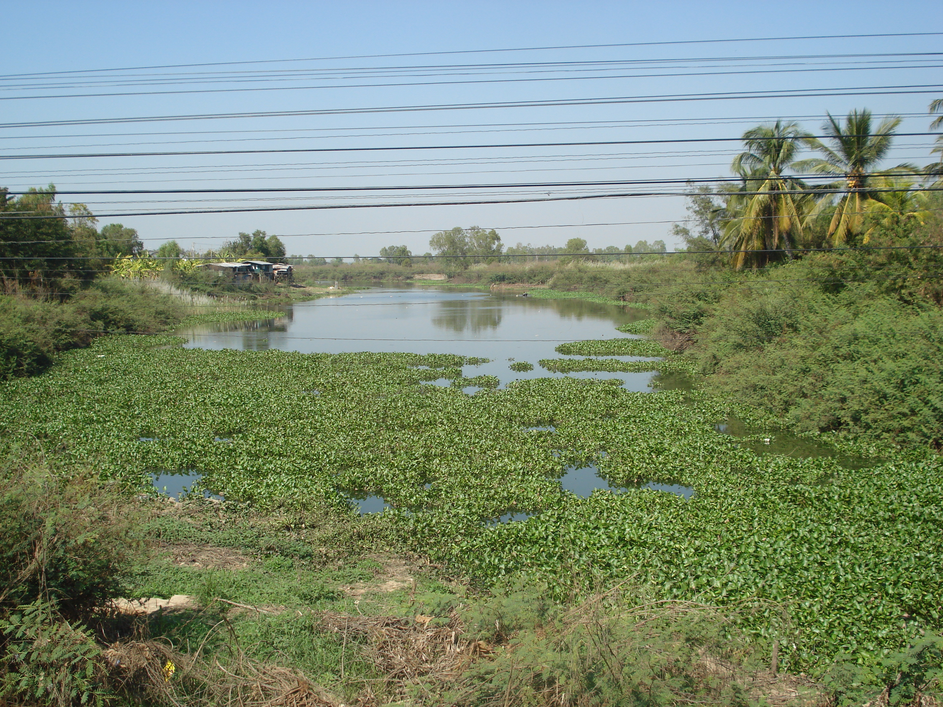 Picture Thailand Phitsanulok Mittraparp Road 2008-01 23 - Center Mittraparp Road