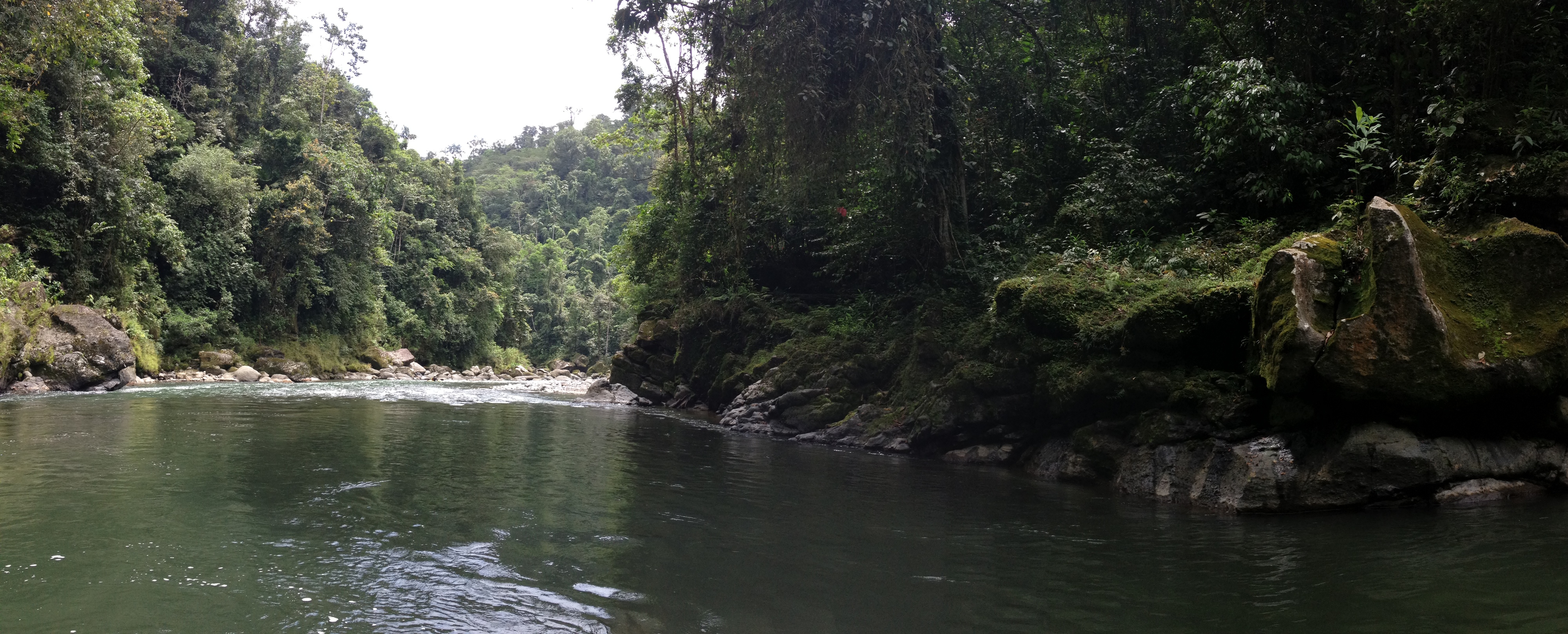 Picture Costa Rica Pacuare River 2015-03 66 - Journey Pacuare River