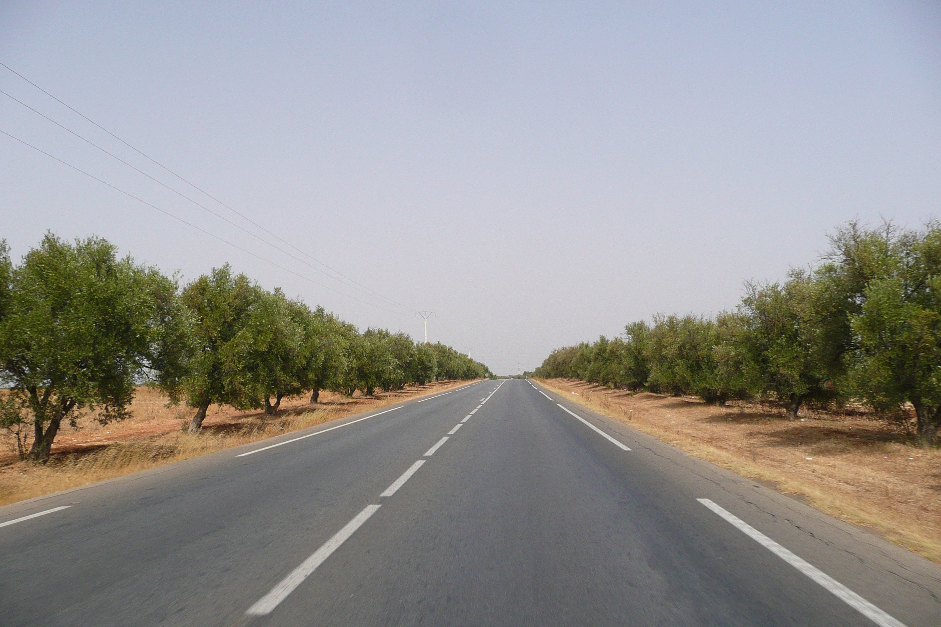 Picture Morocco Fes to Rabat Road 2008-07 30 - Discovery Fes to Rabat Road