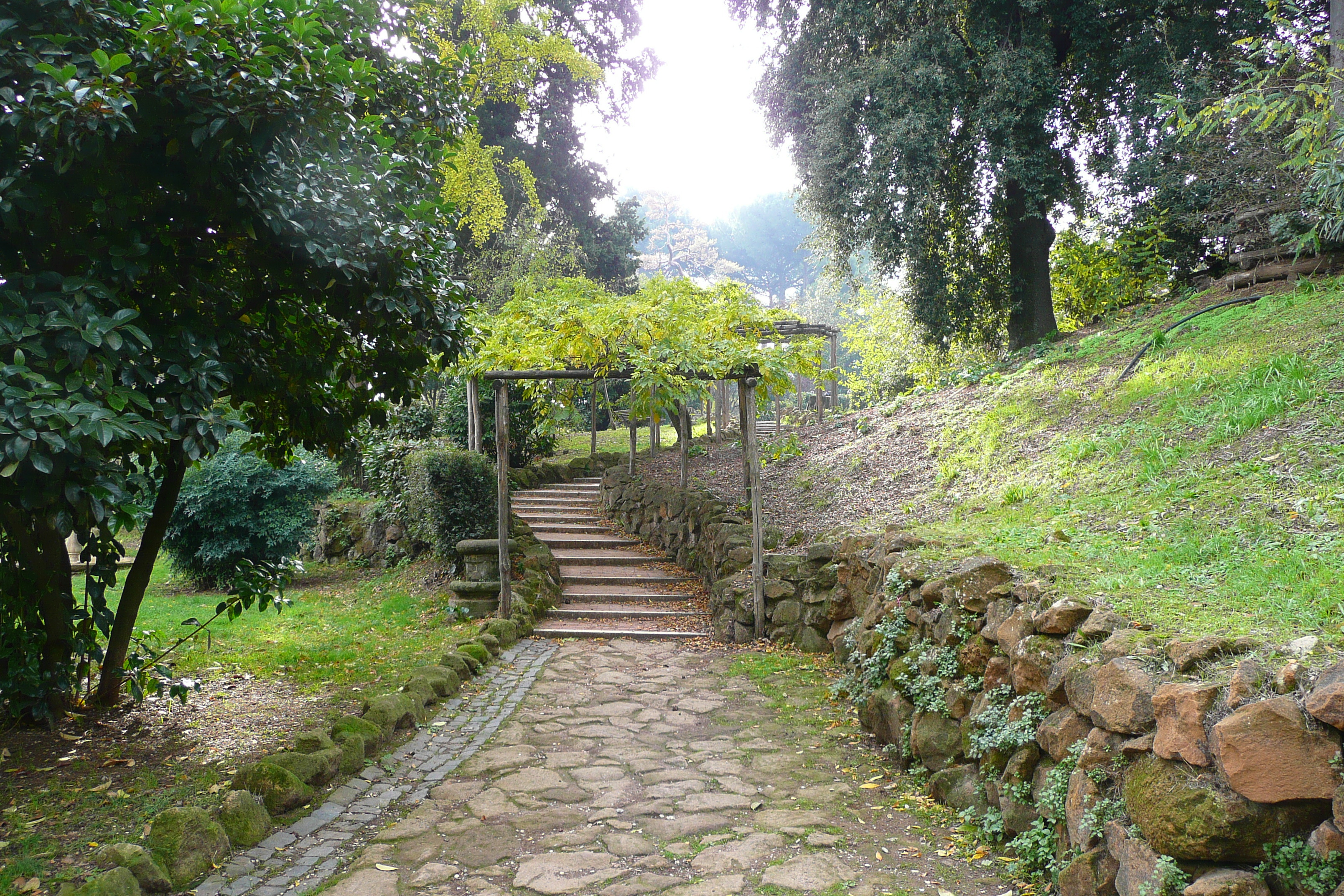 Picture Italy Rome Villa Sciarra 2007-11 45 - Center Villa Sciarra