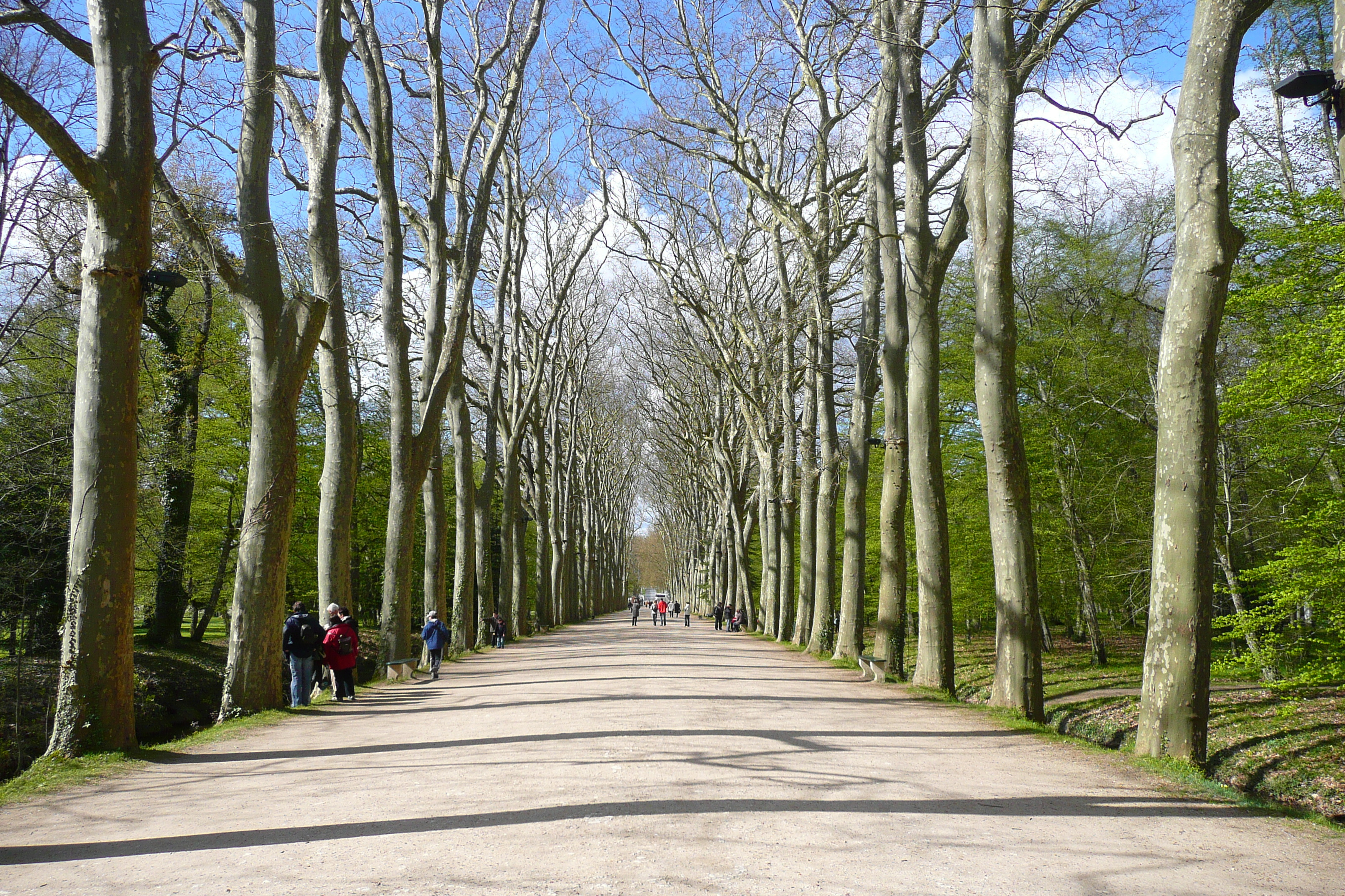 Picture France Chenonceau Castle Gardens of Chenonceau 2008-04 70 - History Gardens of Chenonceau